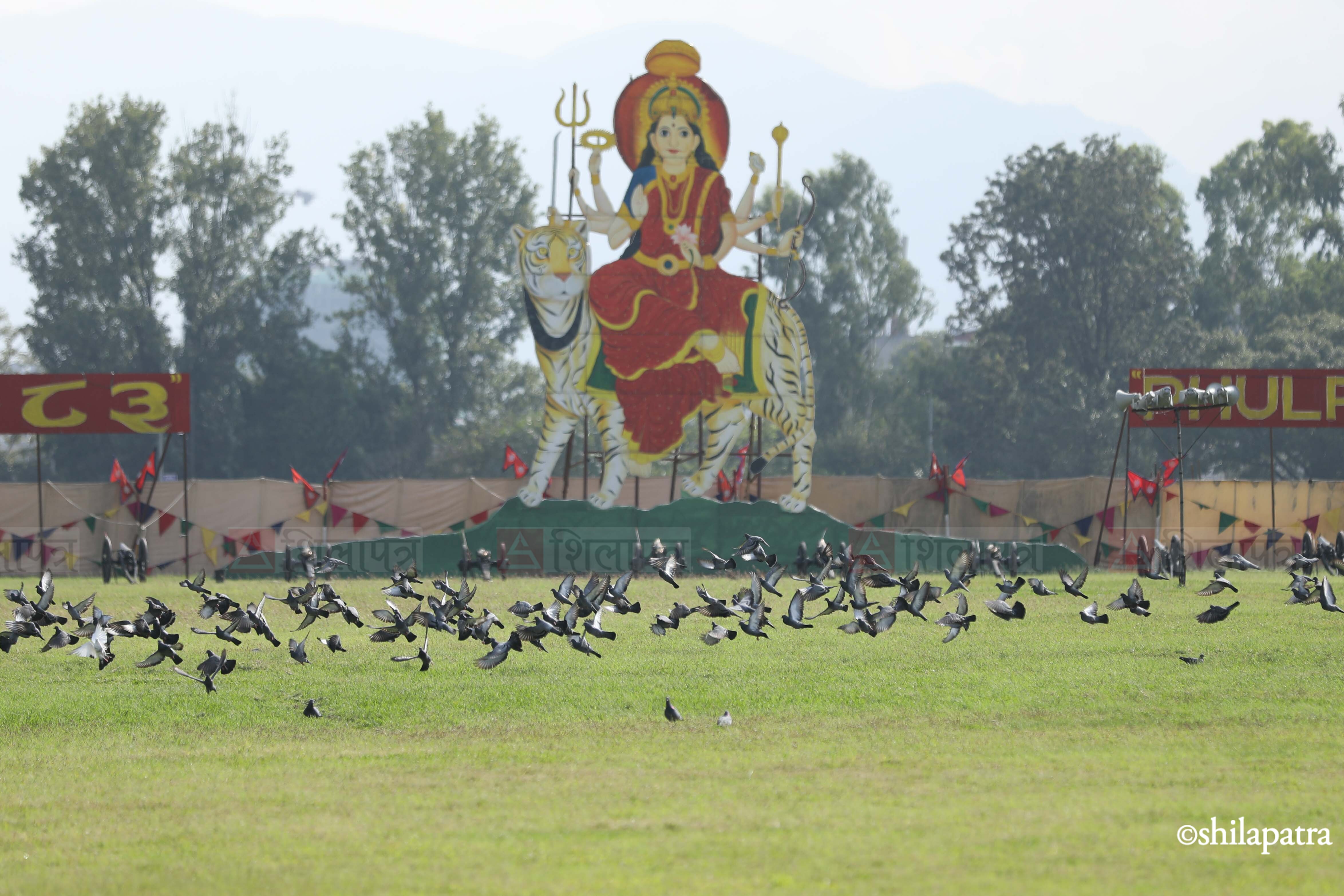 Phulpati-Badhai---2243-1792236127.jpg