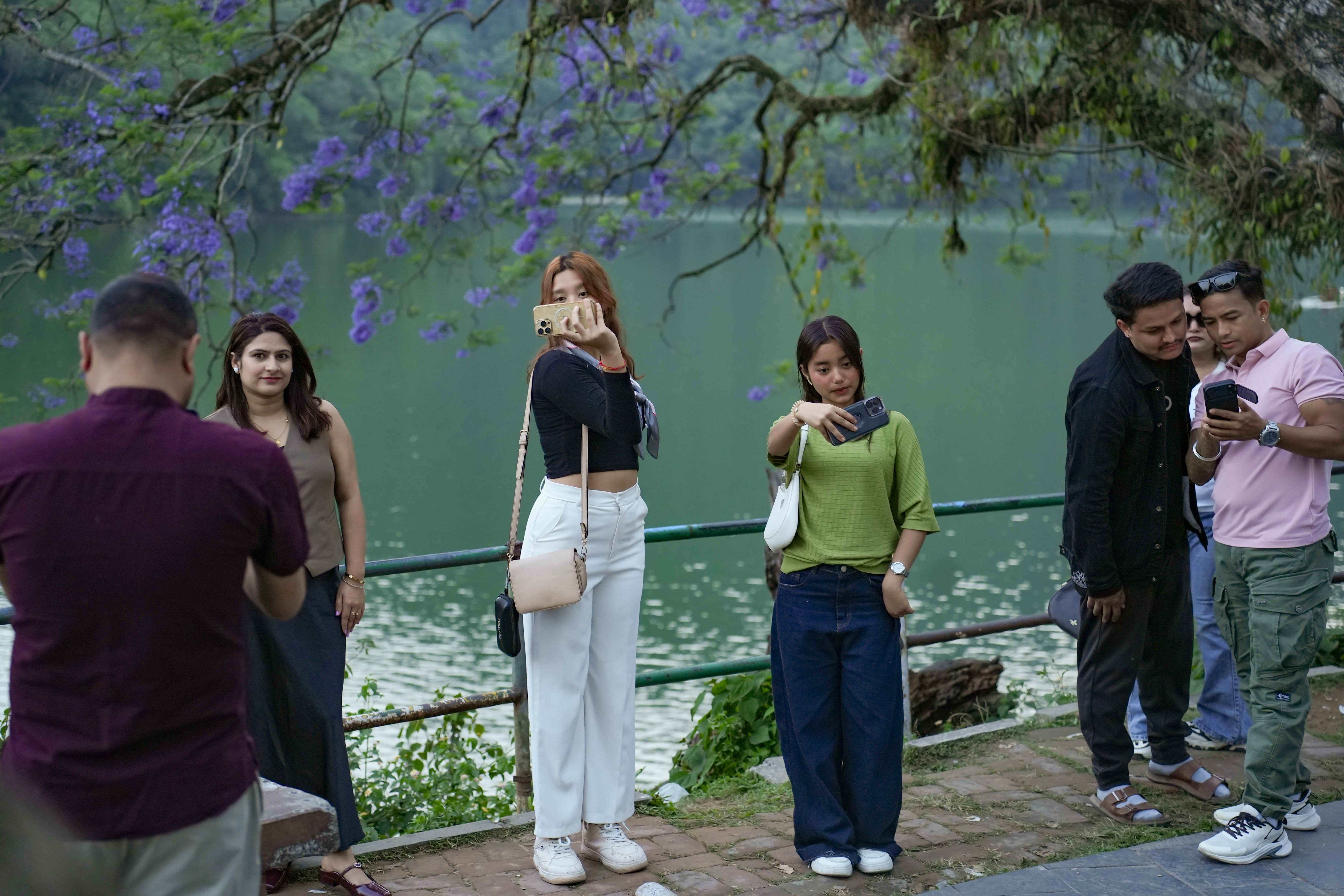 Pokhara-Jacaranda--118-1778642287.jpg