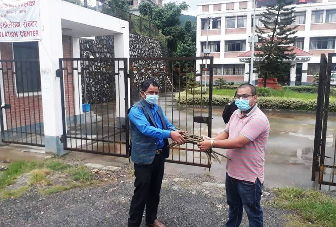 गुर्जो प्रति बढ्दो मोहः निःशुल्क वितरण गर्दै बनेपाका युवा