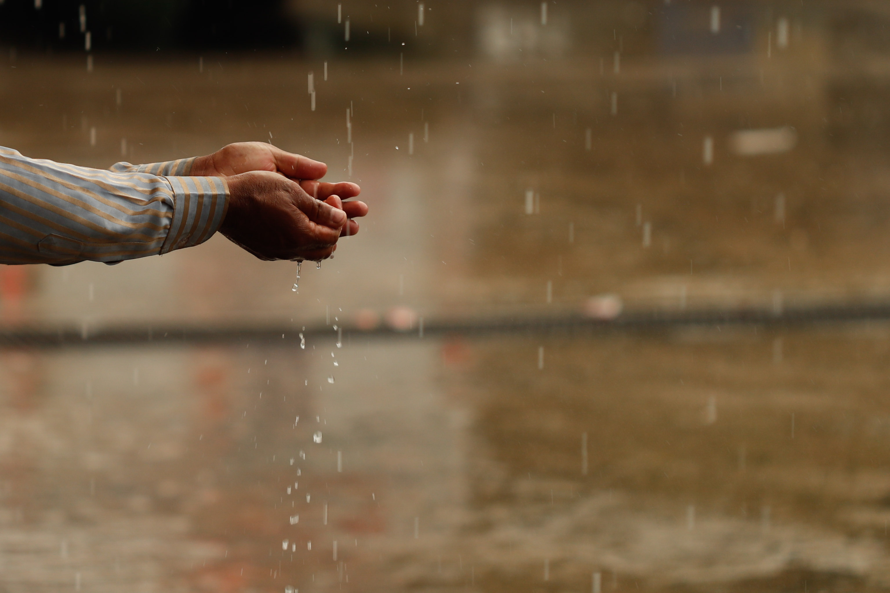 Raining_-408-1749562591.jpg