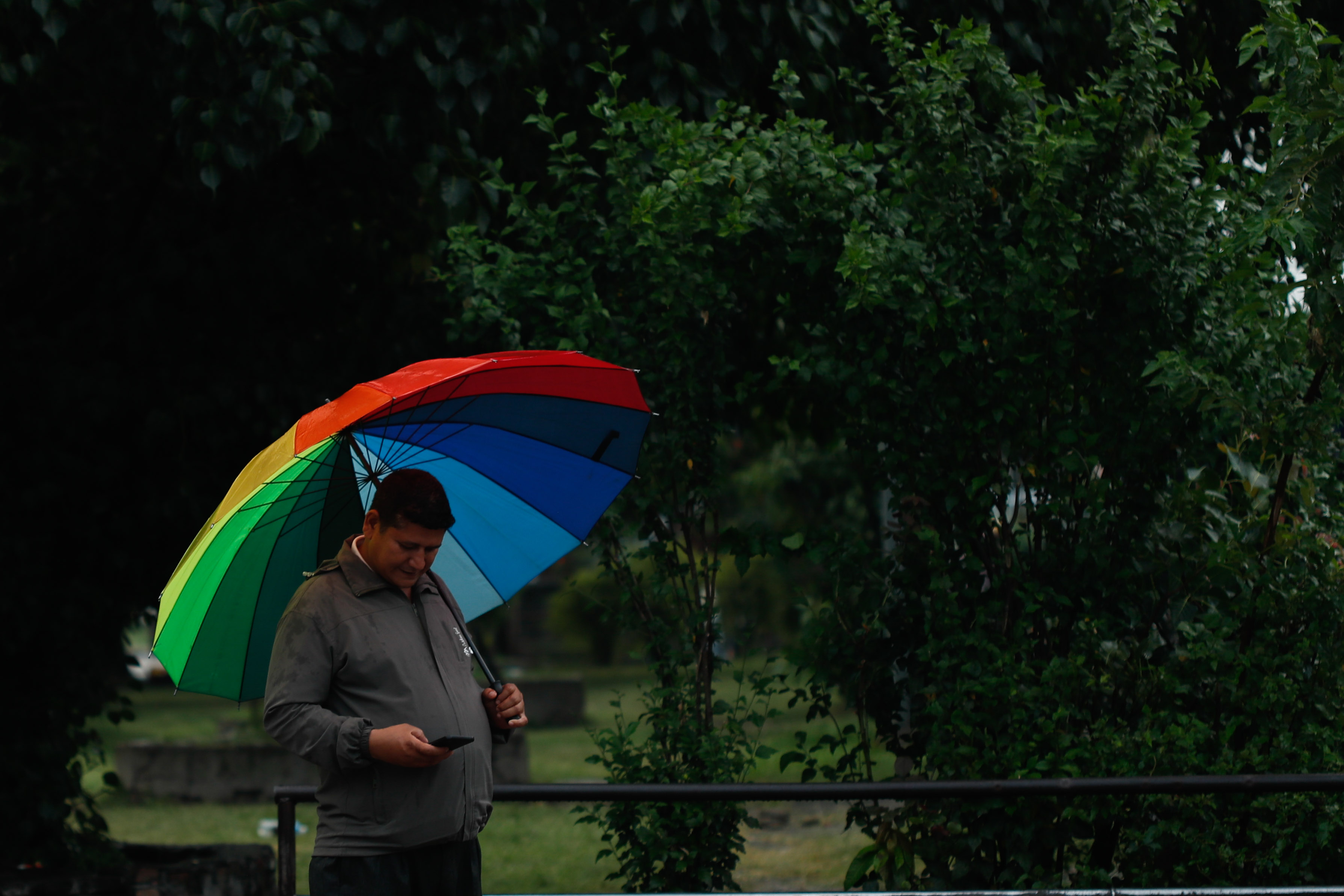 Raining_-411-1749562598.jpg