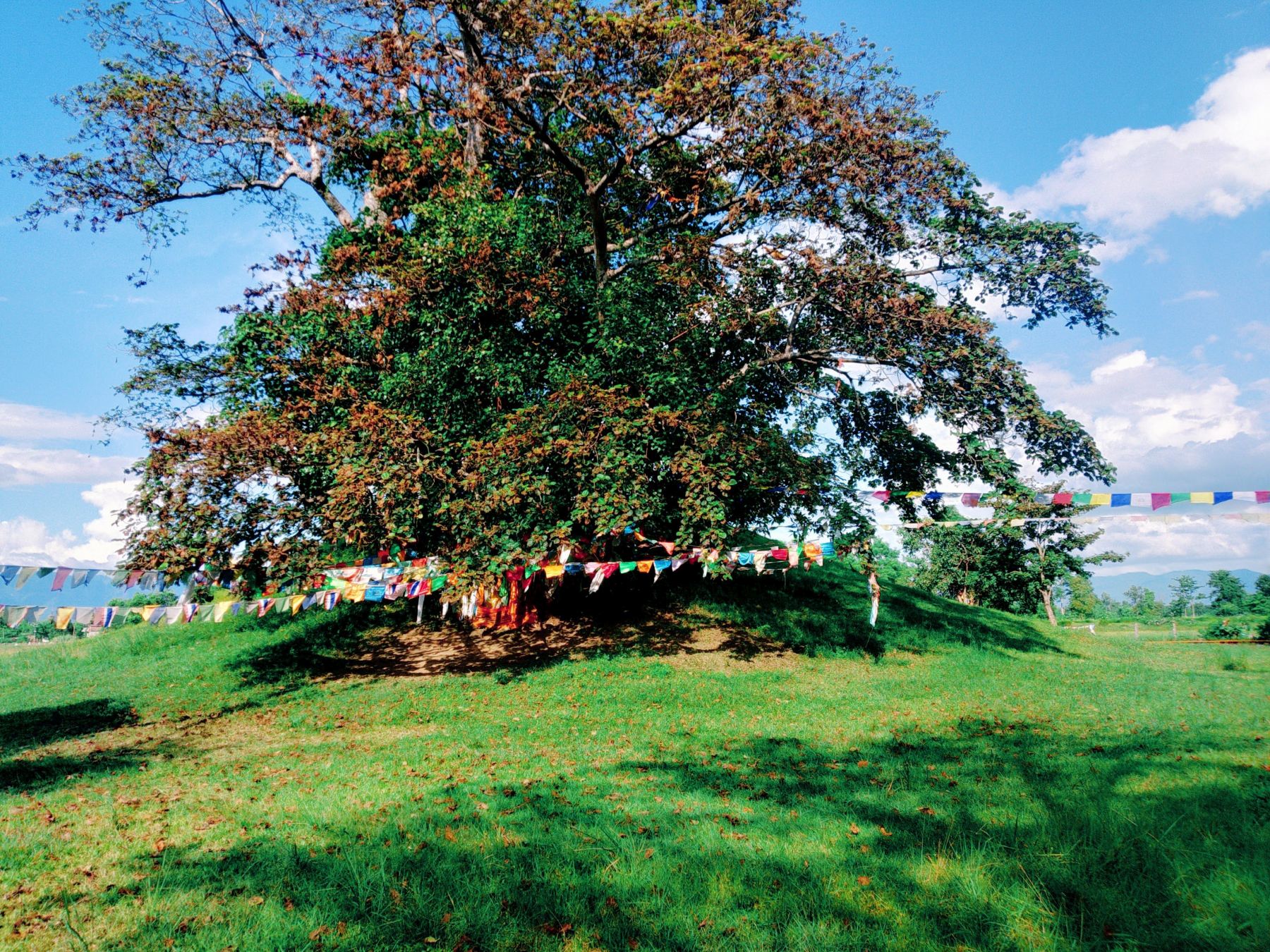 Ramagrama_Stupa-1792153322.jpg