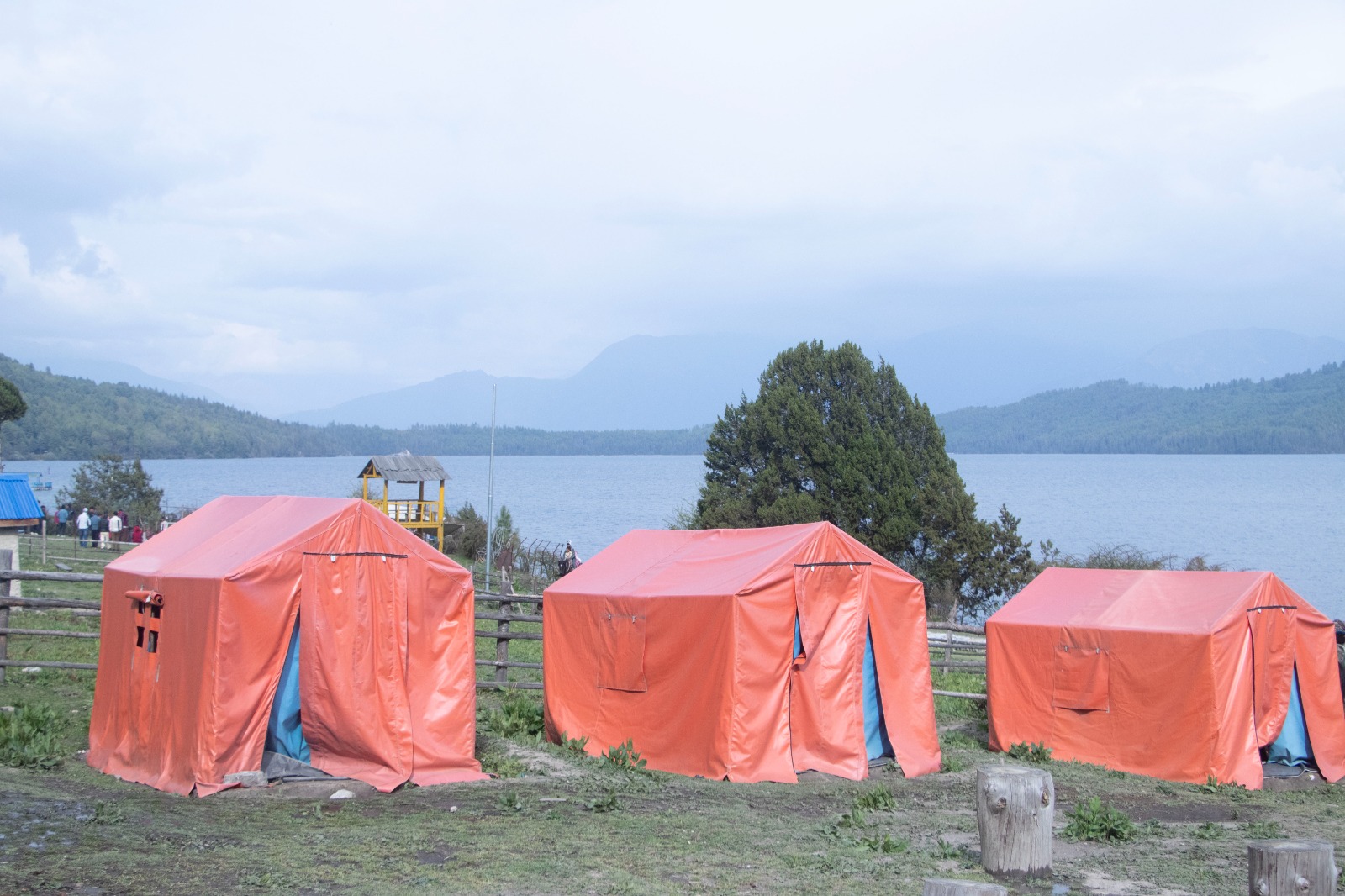 Rara-(1)-1747389691.jpeg