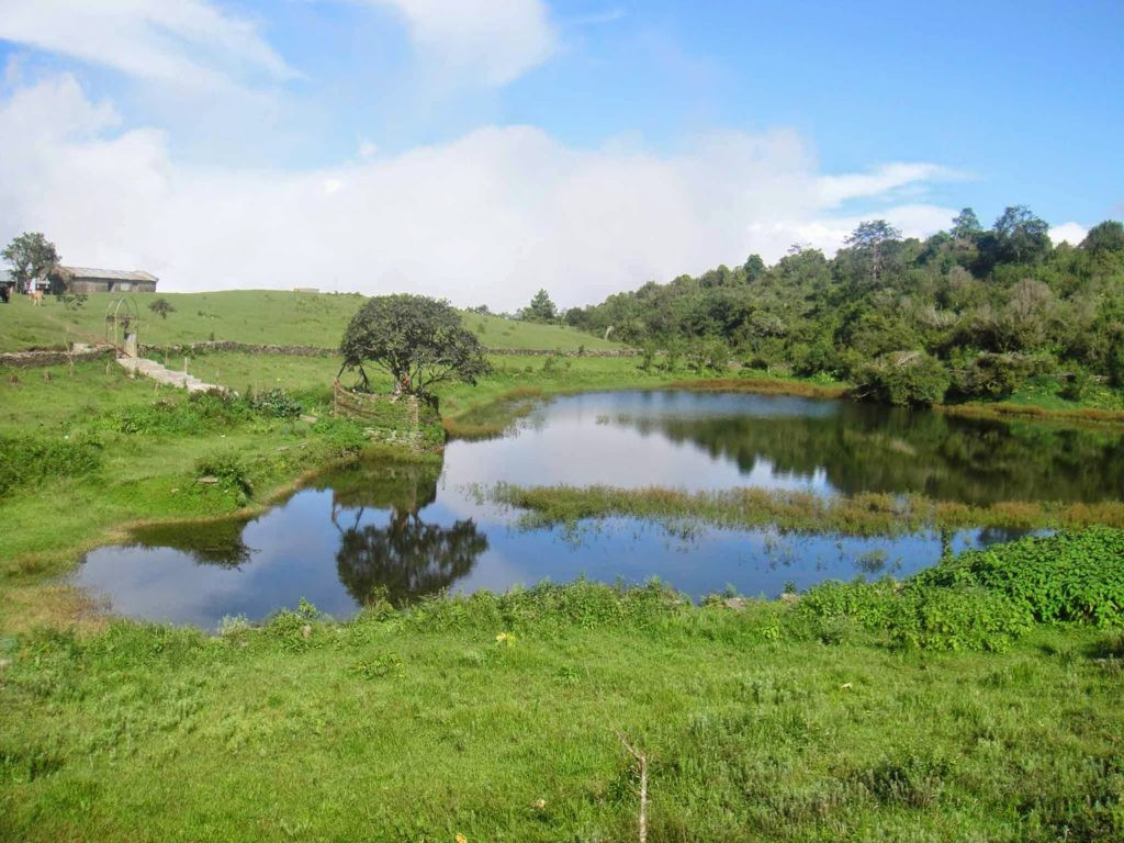 कोरोनाले सुनसान बनेको रौतापोखरीमा बढ्यो चहलपहल