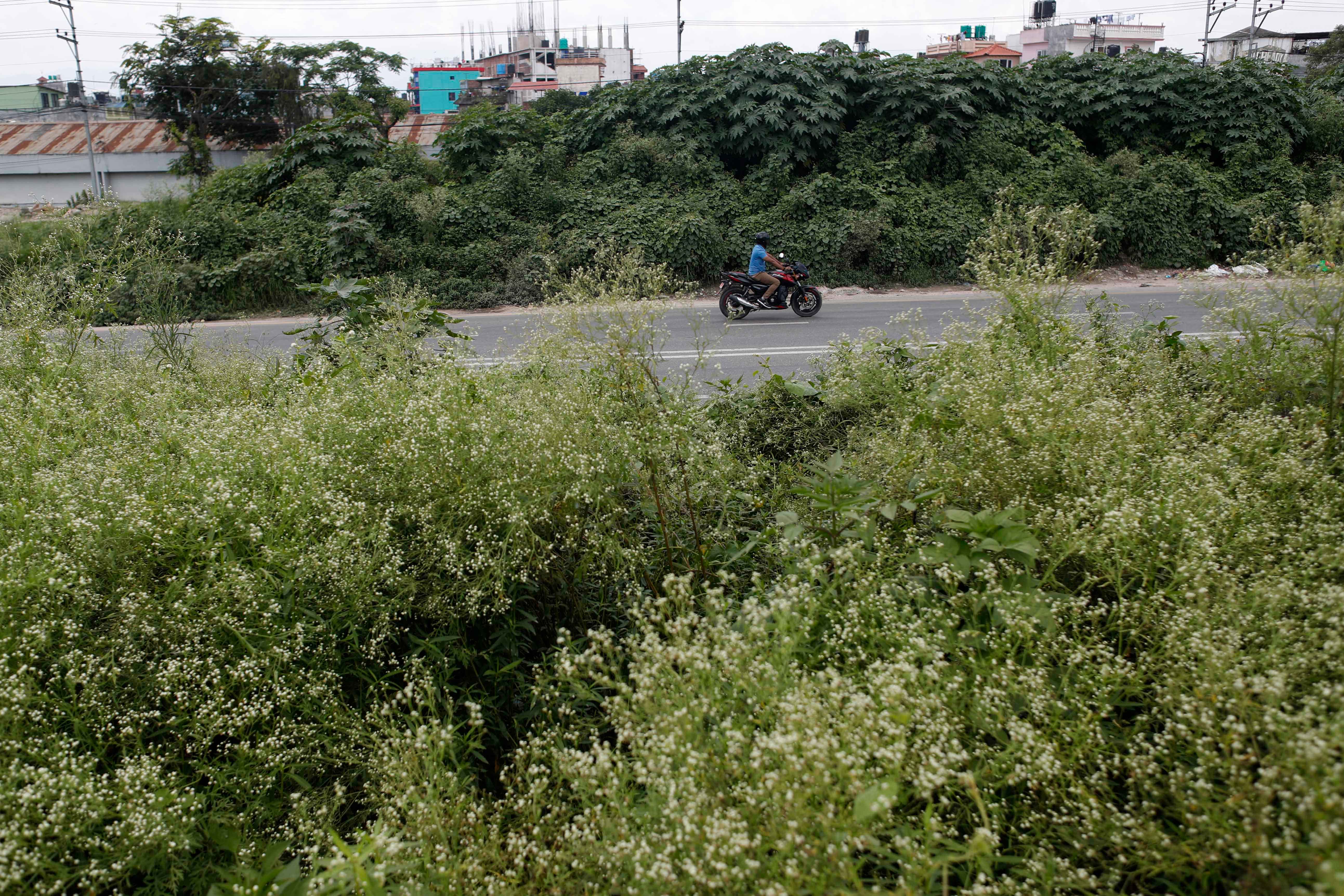 Ringroad_-1417-1752983433.jpg