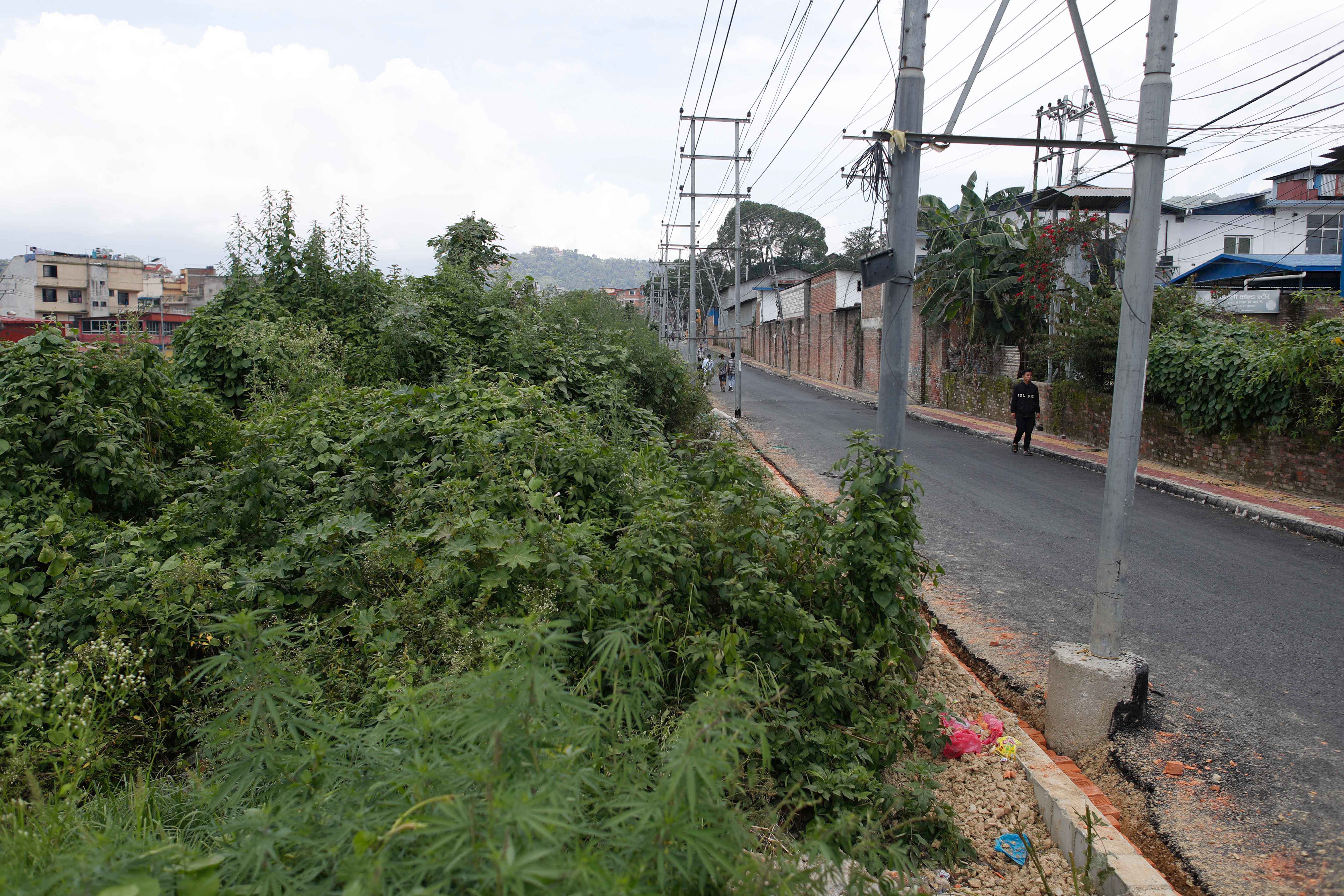 Ringroad_-1426-1752983465.jpg