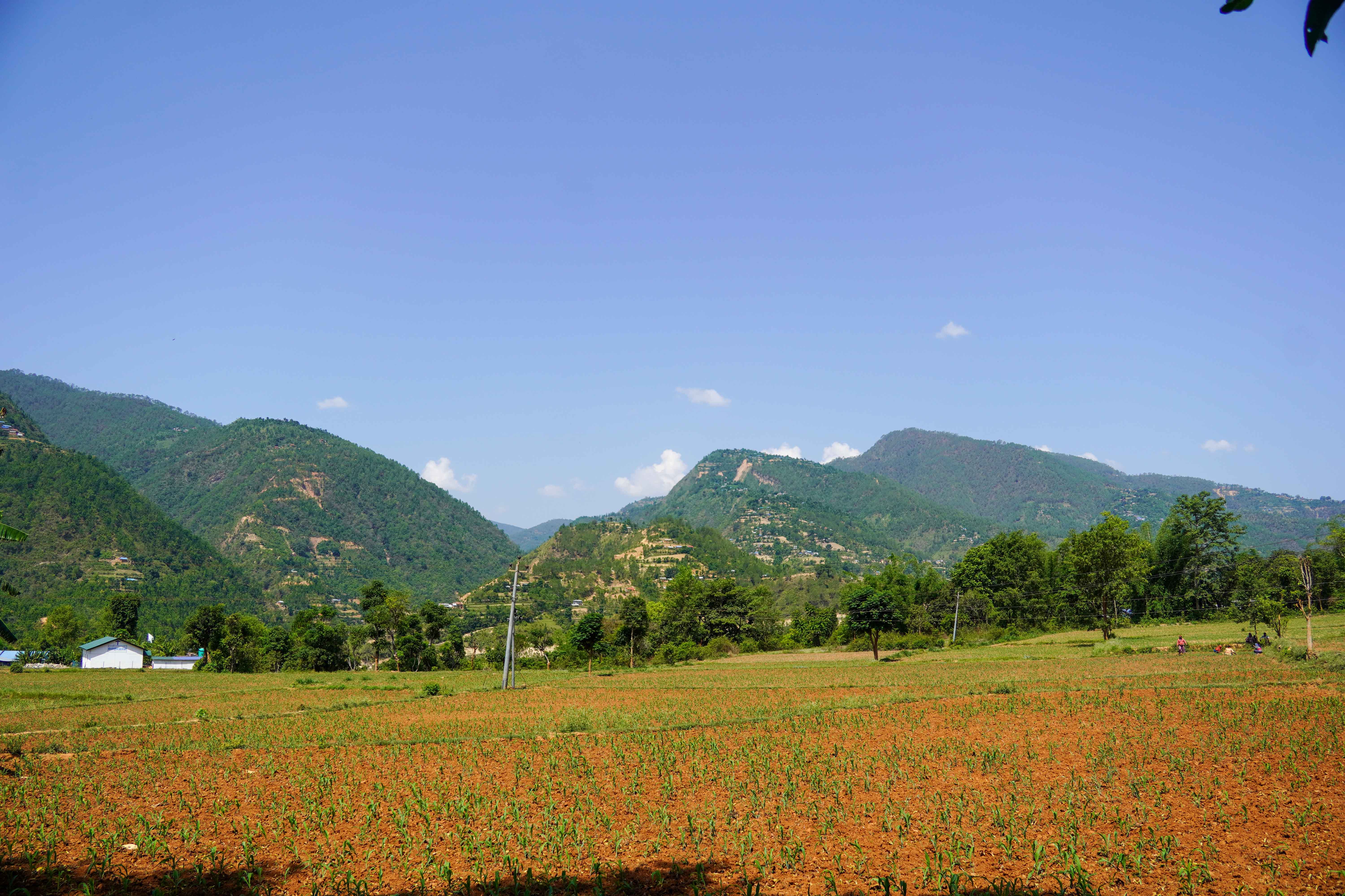Rolpa-(16)-1749475324.JPG