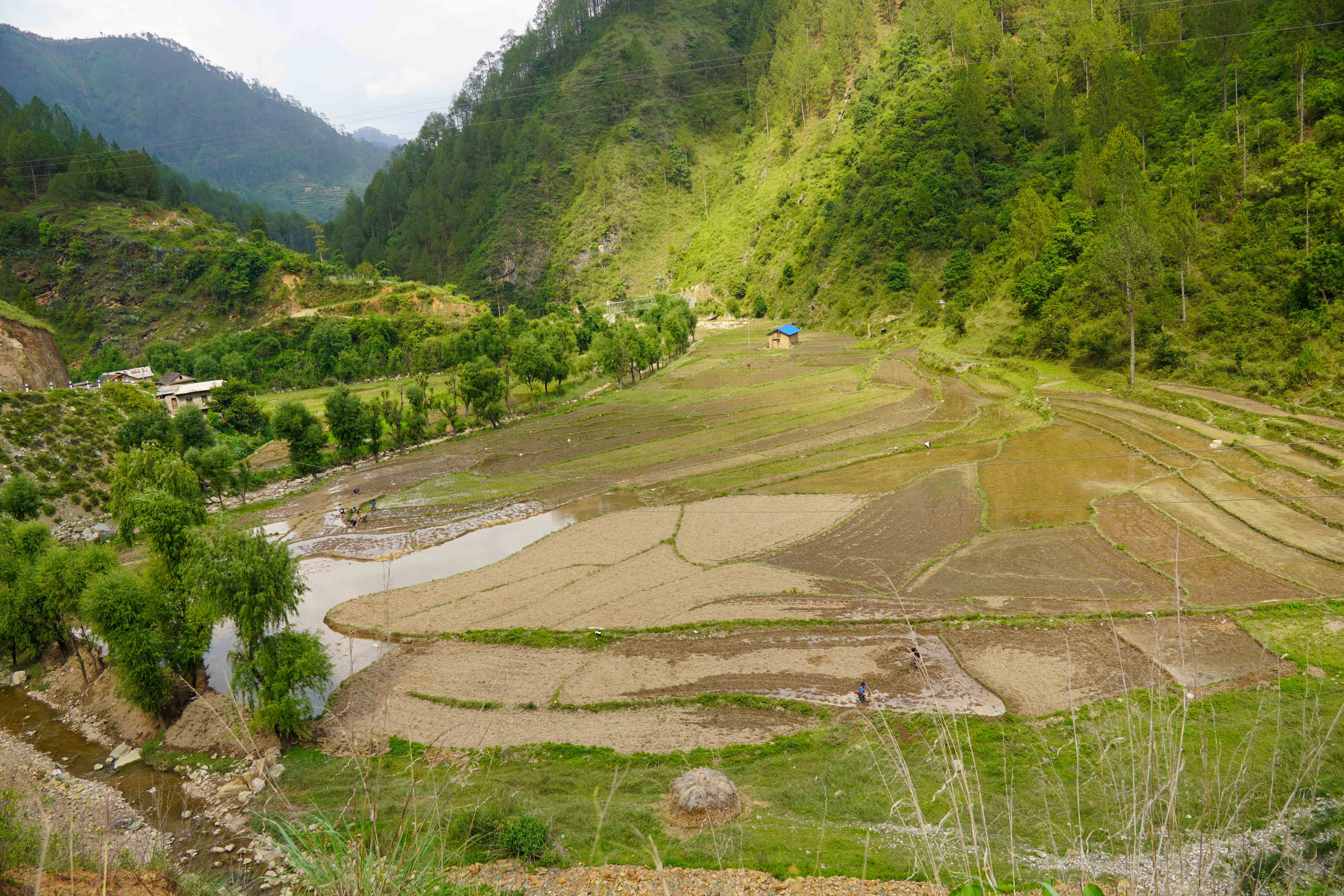 Rolpa-(3)-1749475288.JPG