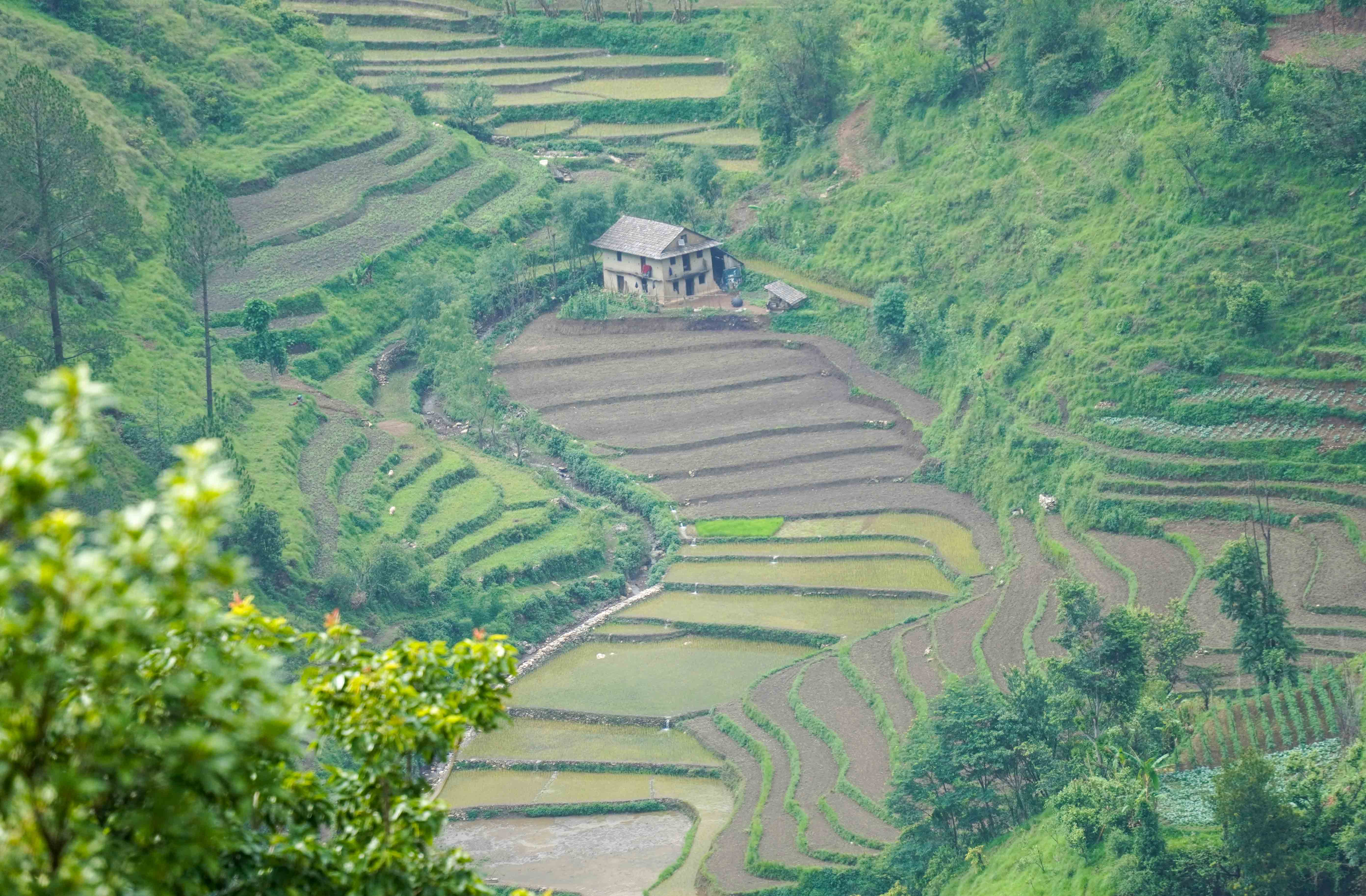 Rolpa-(4)-1749475289.JPG