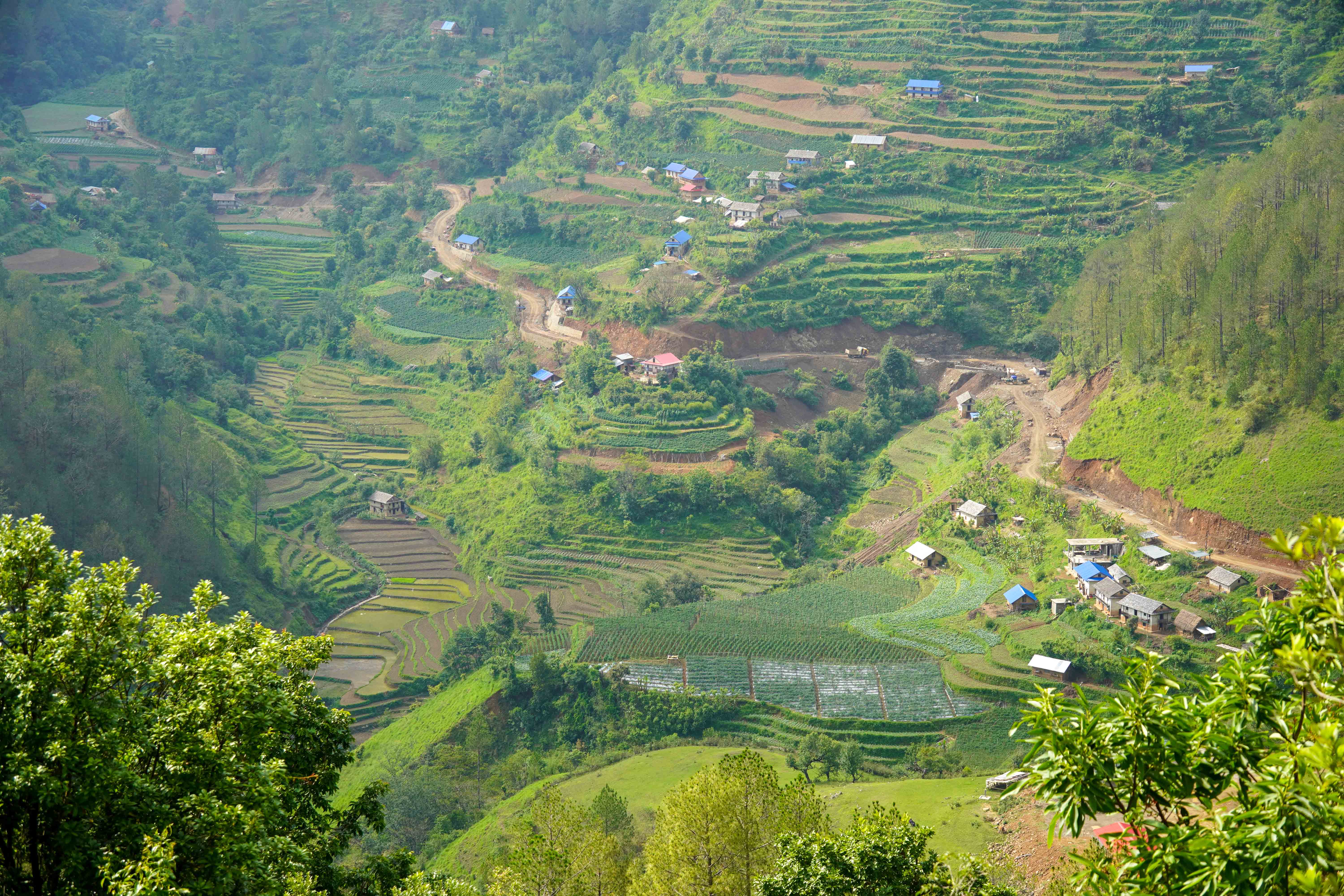 Rolpa-(5)-1749475294.JPG