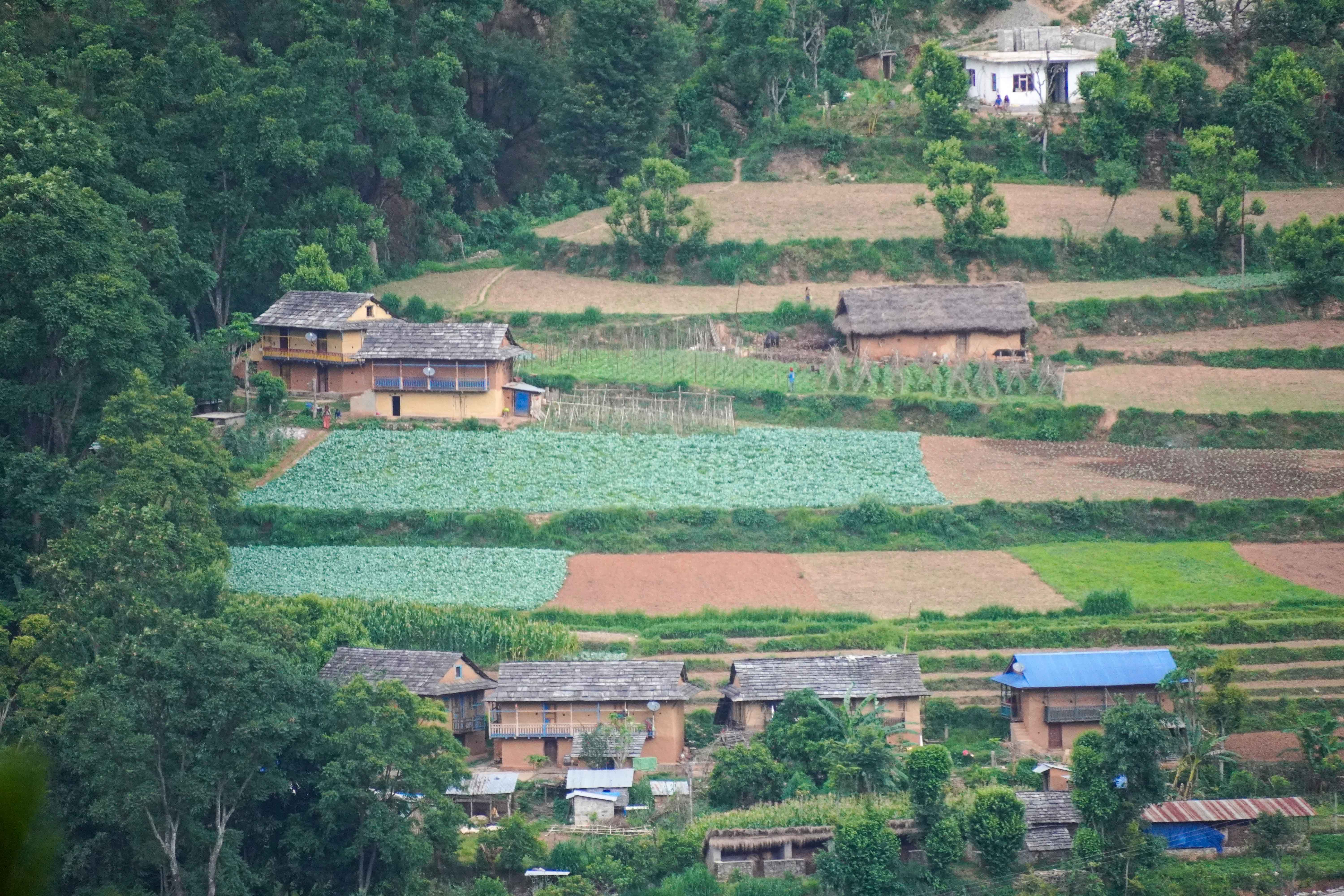 Rolpa-(6)-1749475294.JPG