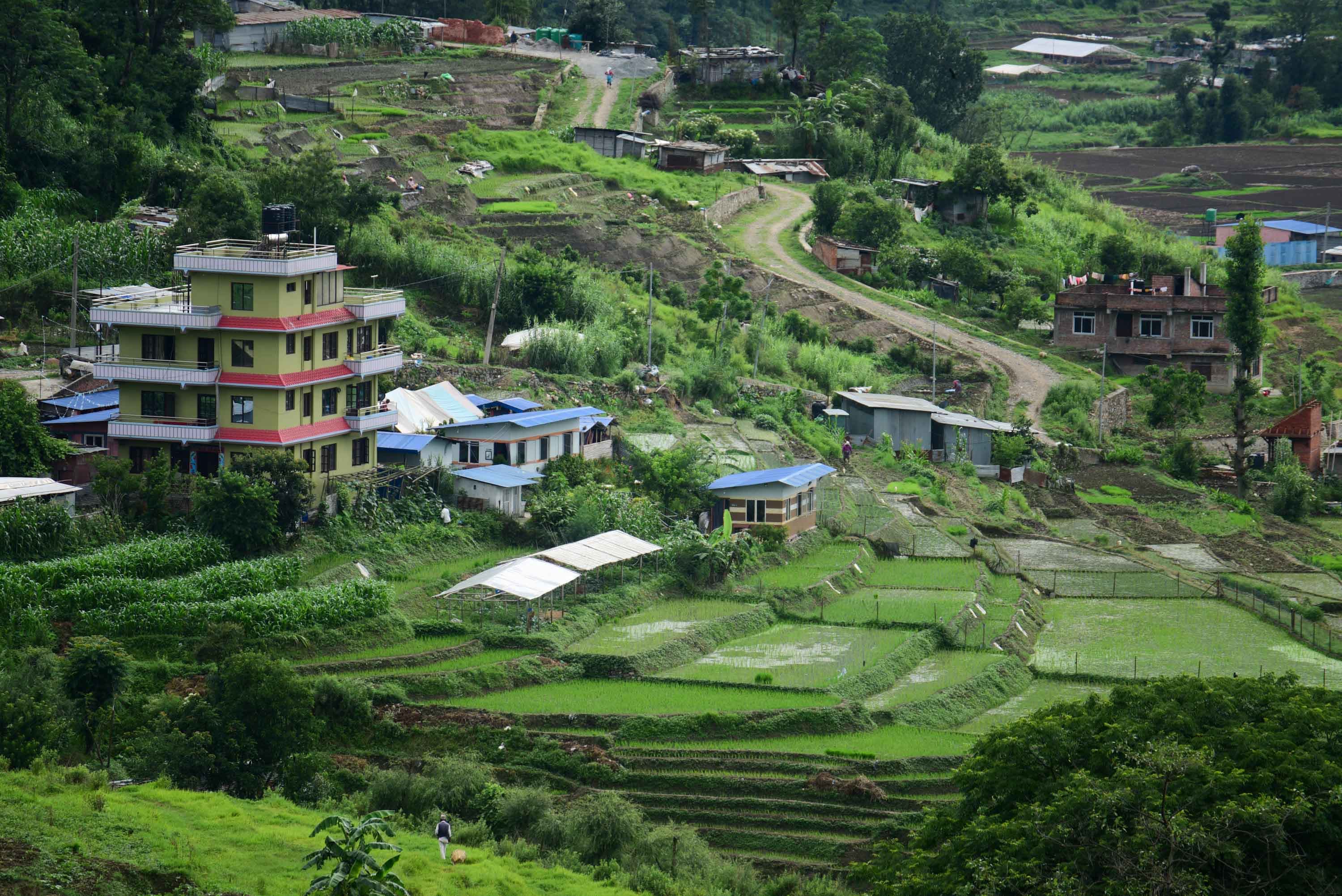 Ropai-at-Khokana--(24)-1751185838.jpeg
