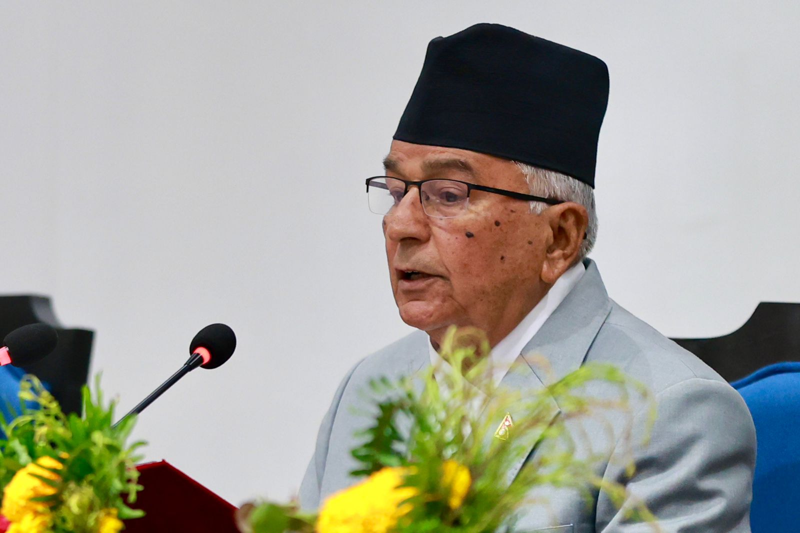 एनआरएनएलाई लगानी आकर्षित गर्न सरकारले प्रतिफल फिर्ता सुनिश्चित गर्ने