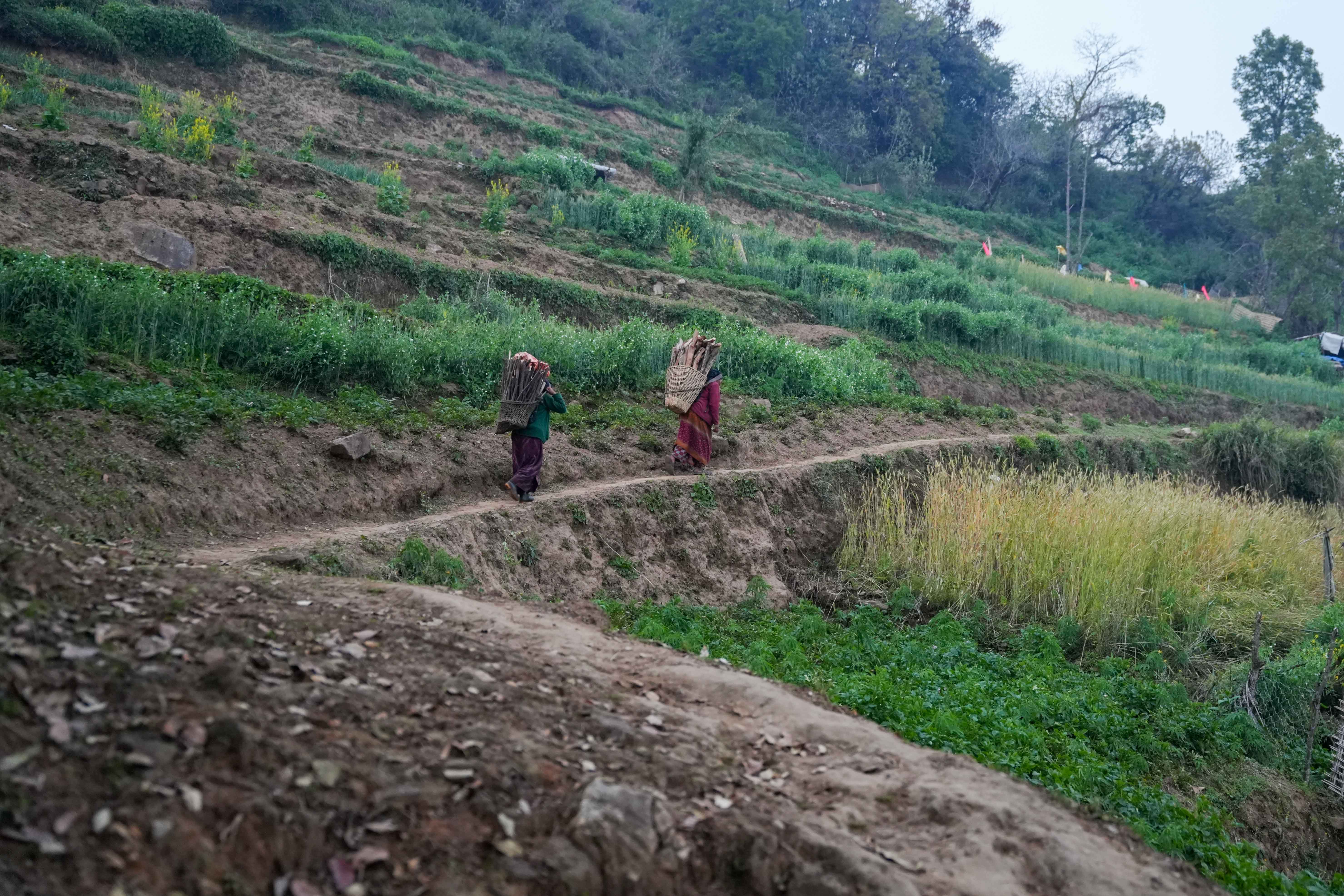 Singla_Gorkha_DSC08464-1777949629.jpg