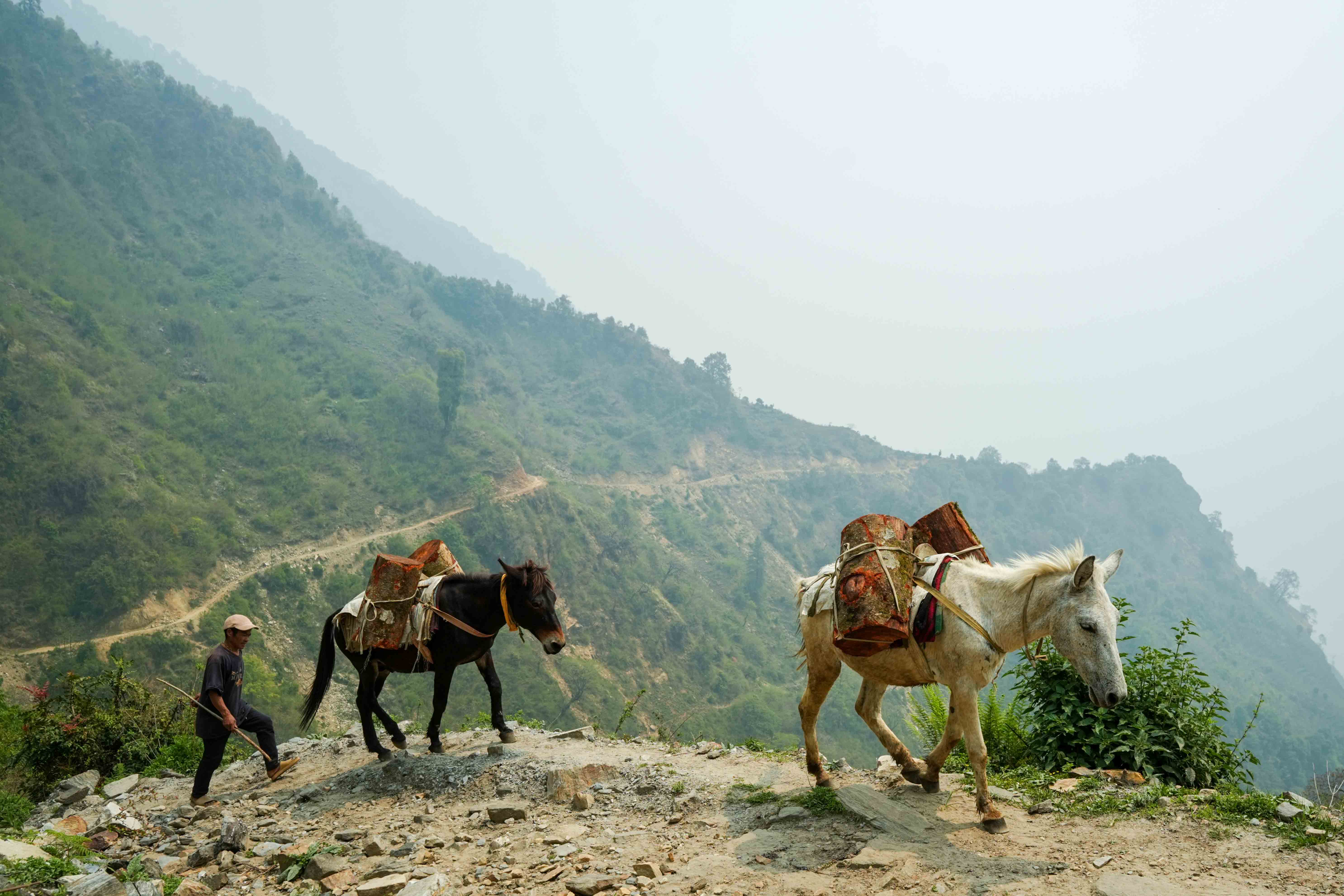 Singla_Gorkha_DSC08768-1777949592.jpg