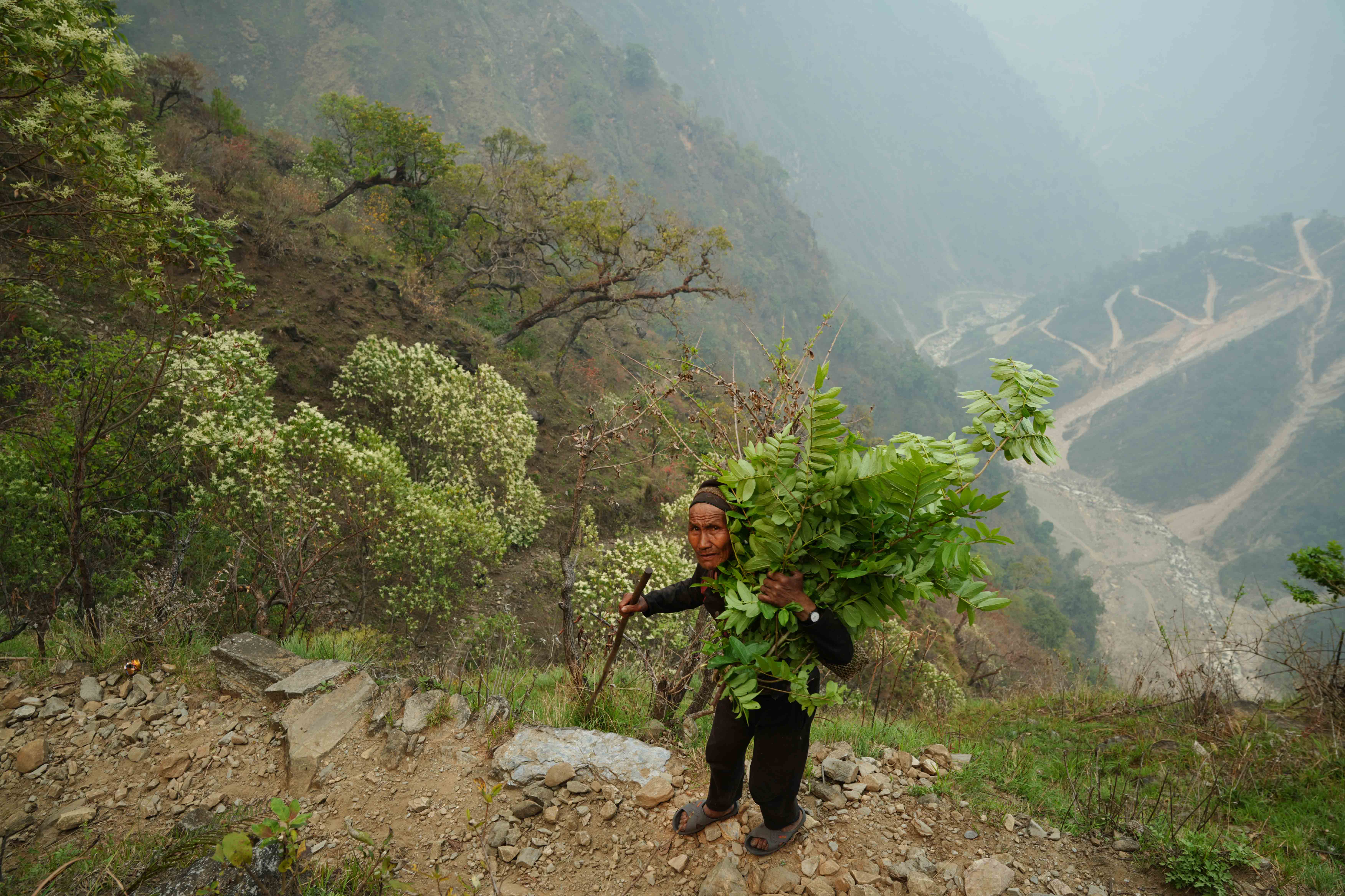 Singla_Gorkha_DSC08918-1777949583.jpg