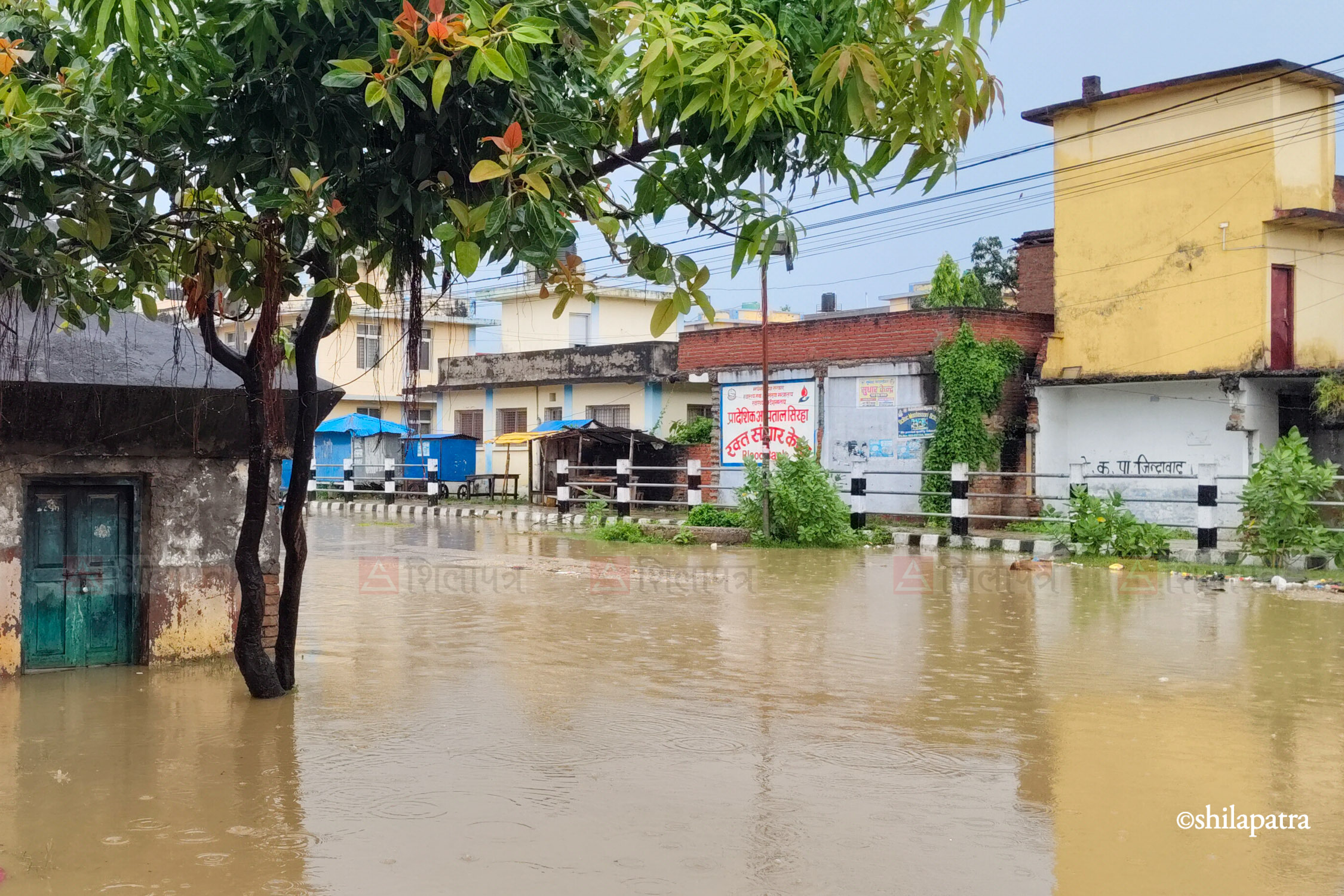 Siraha-Dubhan-After-Rainfall_NPL-(6)-1791635939.jpg