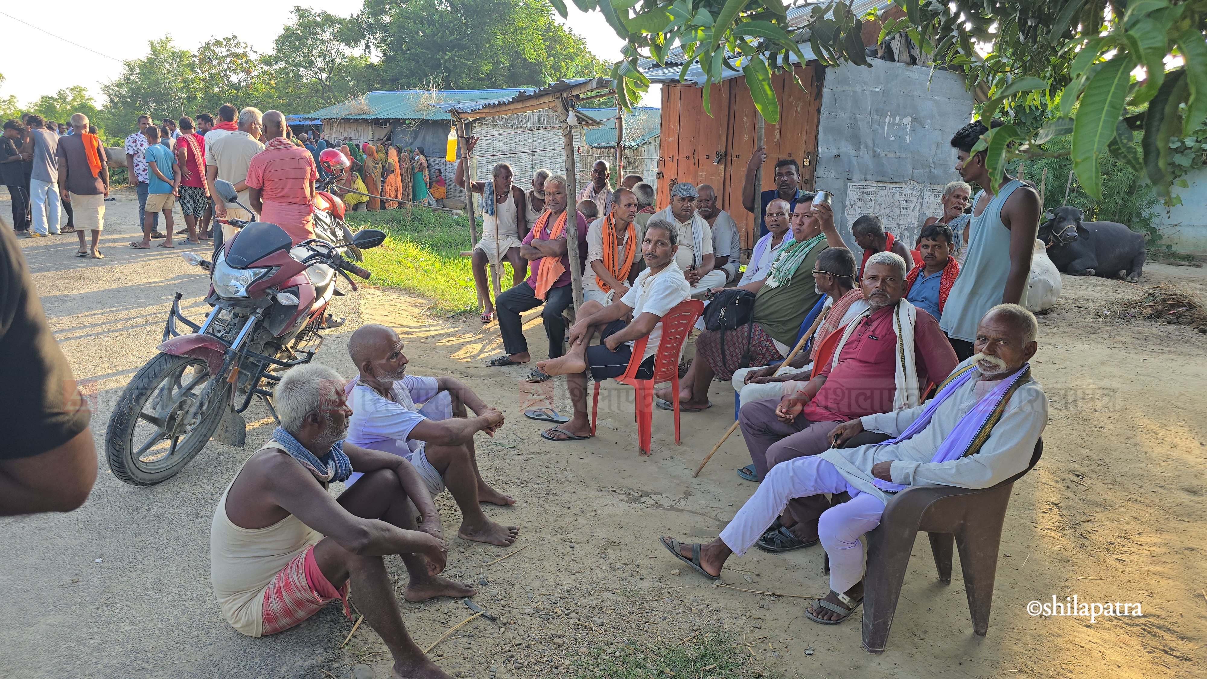 Siraha_Tulsiyahi_NPL-(3)-1785502259.jpeg