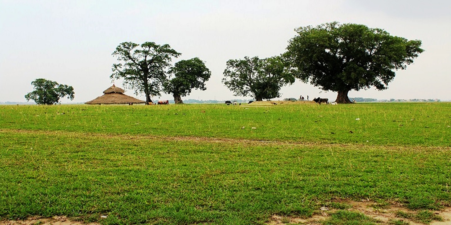 Sishaniya_kot-1749468701.jpg