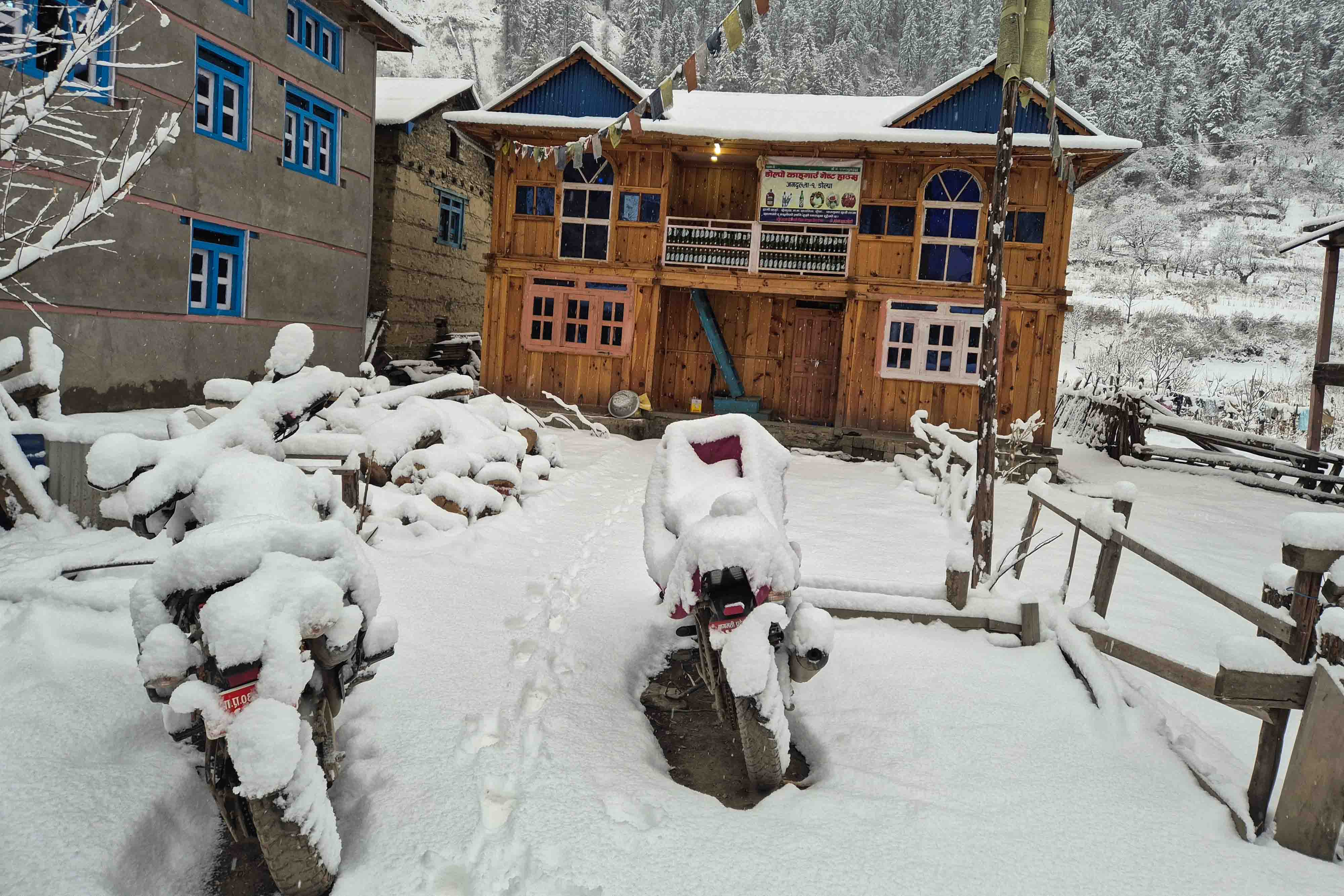 Snowfall_Dolpa_Nepal-Photo-Library14-1769240601.jpg