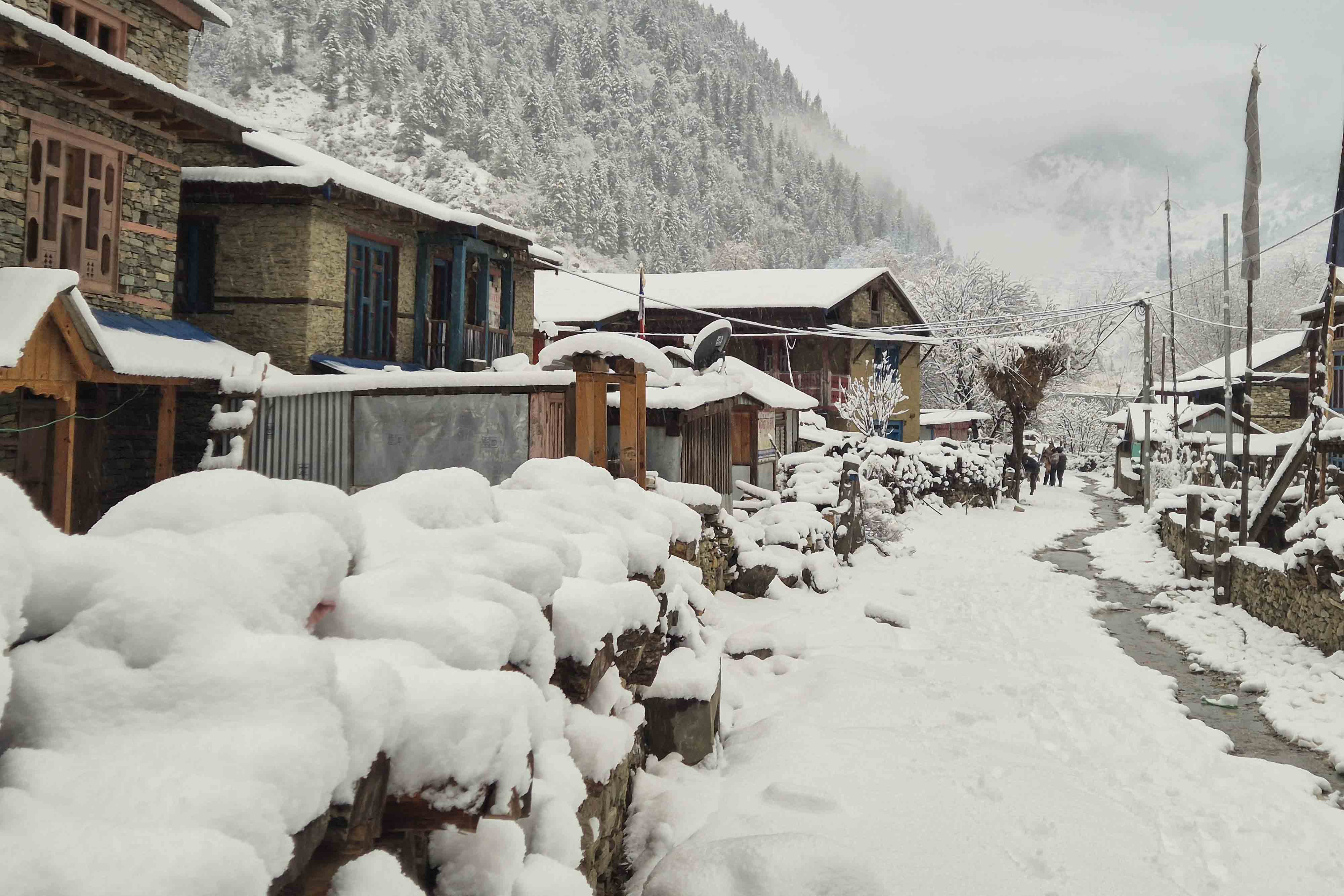 Snowfall_Dolpa_Nepal-Photo-Library16-1769240597.jpg