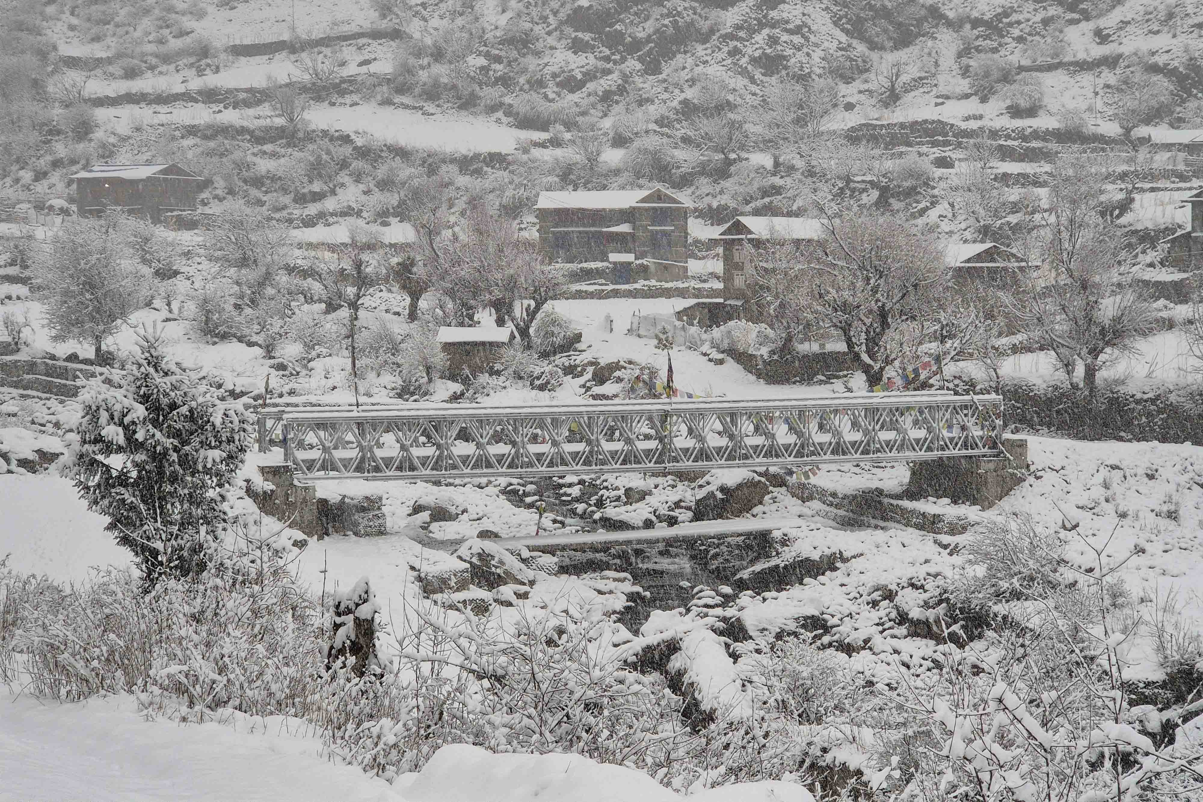Snowfall_Dolpa_Nepal-Photo-Library3-1769240614.jpg