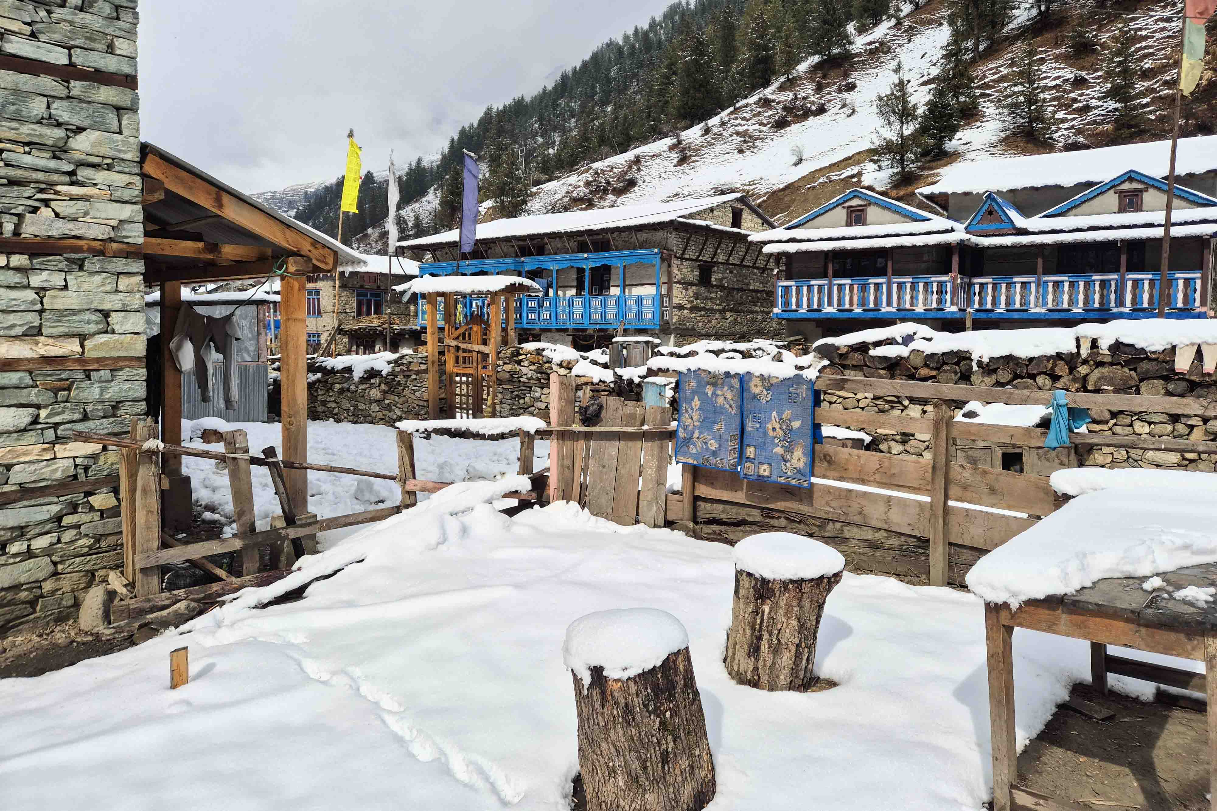 Snowfall_Dolpa_Nepal-Photo-Library4-1769240643.jpg