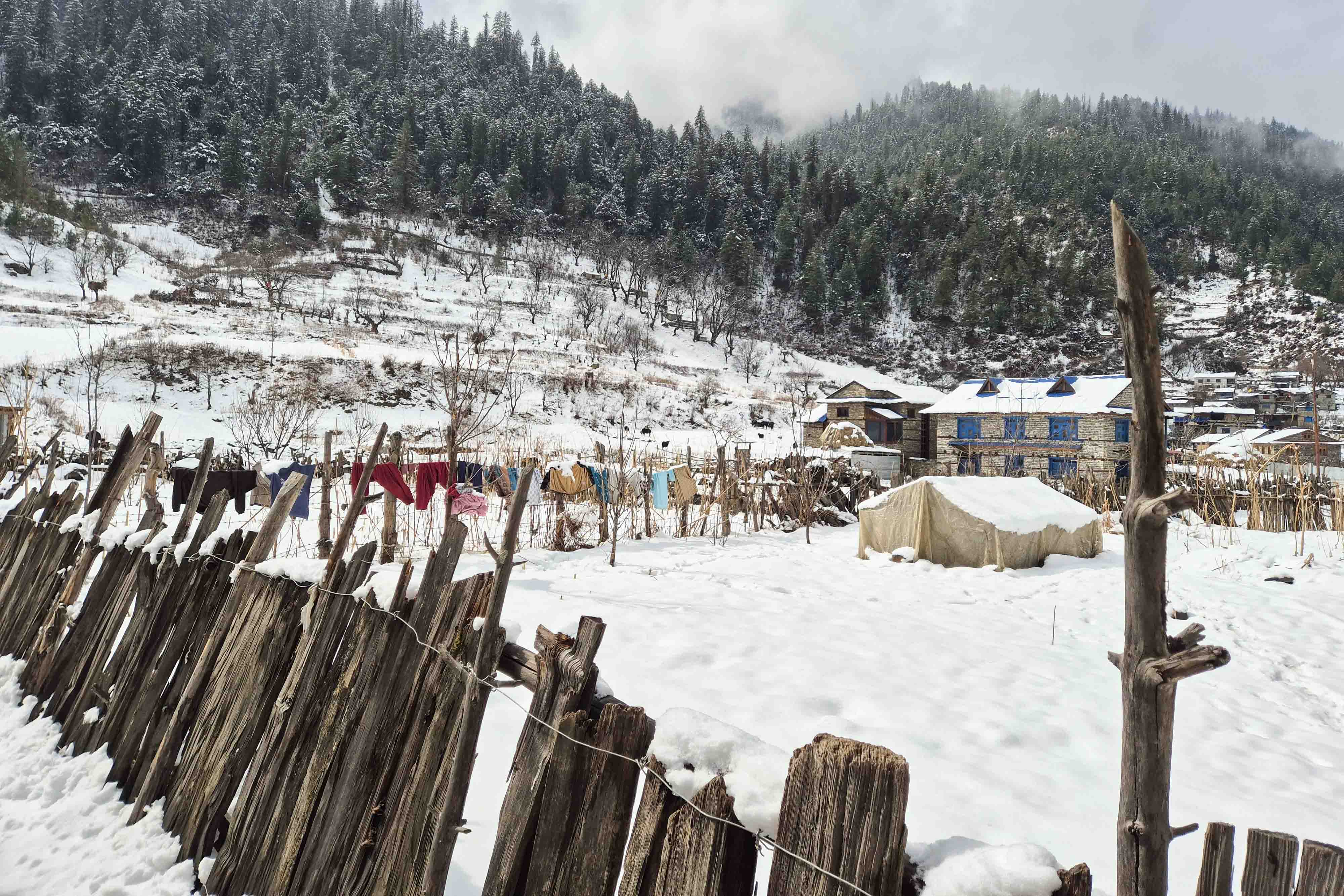 Snowfall_Dolpa_Nepal-Photo-Library5-1769240618.jpg