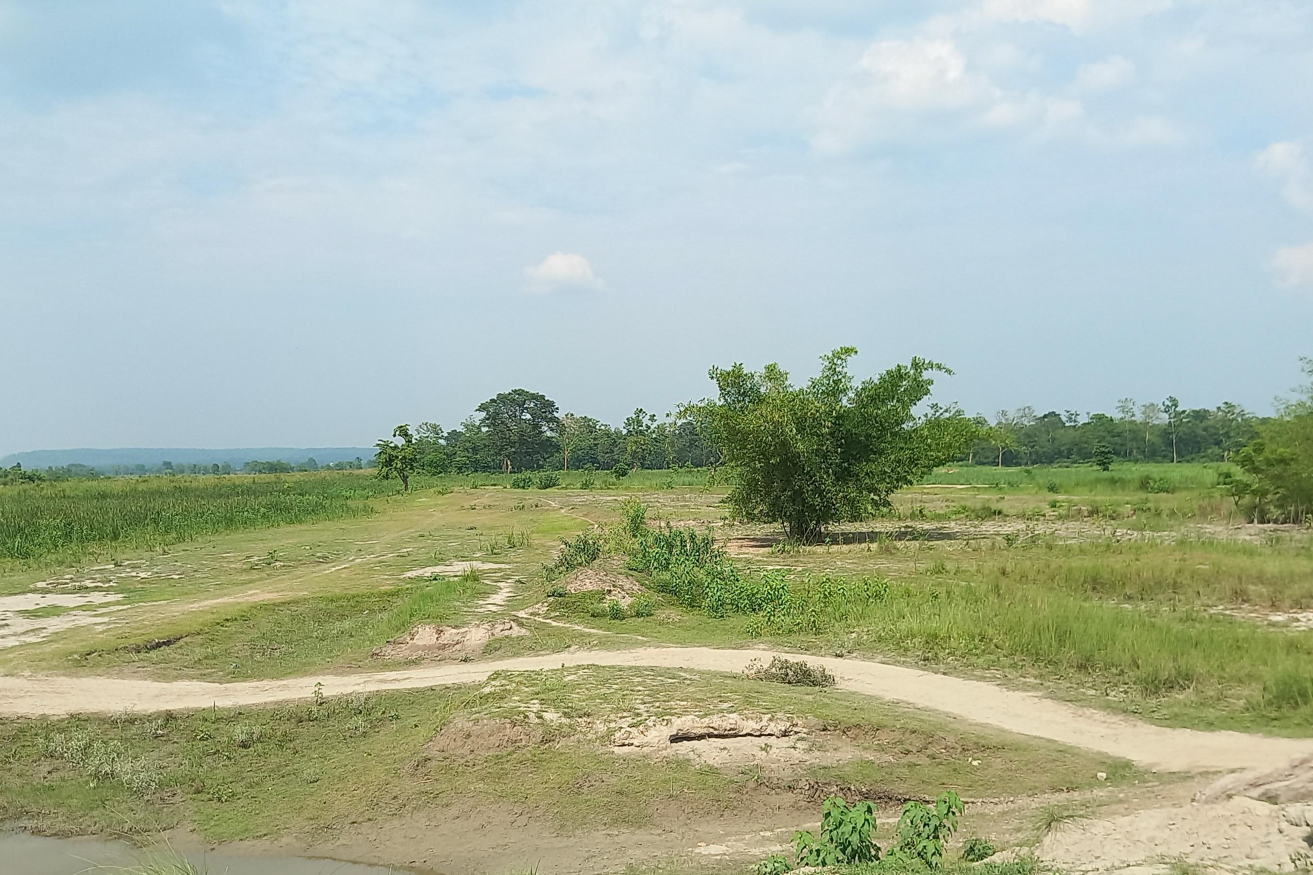 Susta_-1372-1780372595.jpg