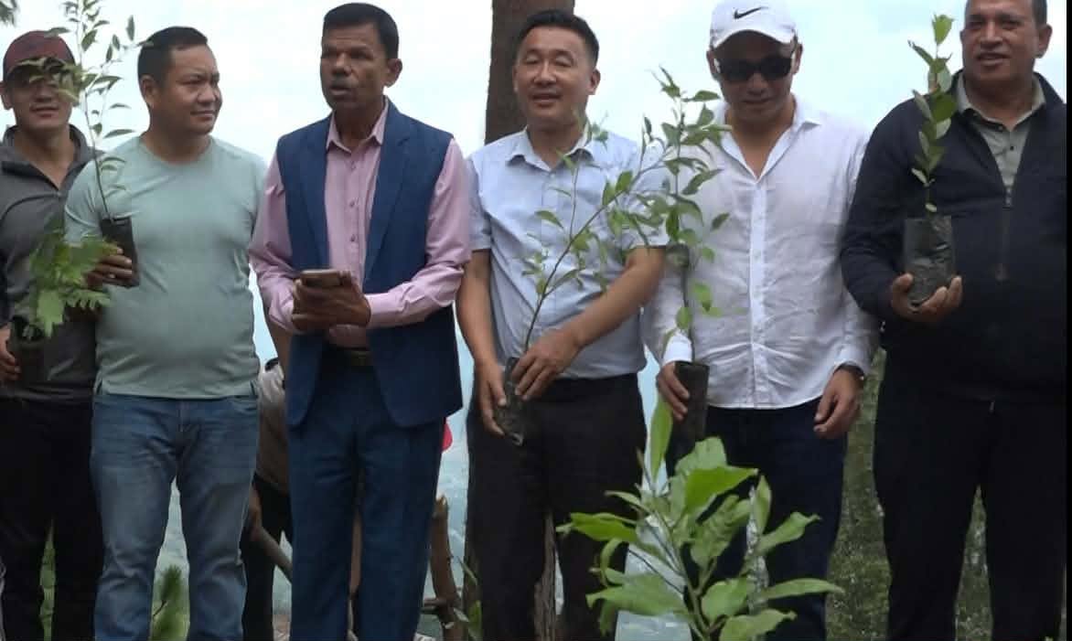 Tree-Rapan-(2)-1782636613.jpg