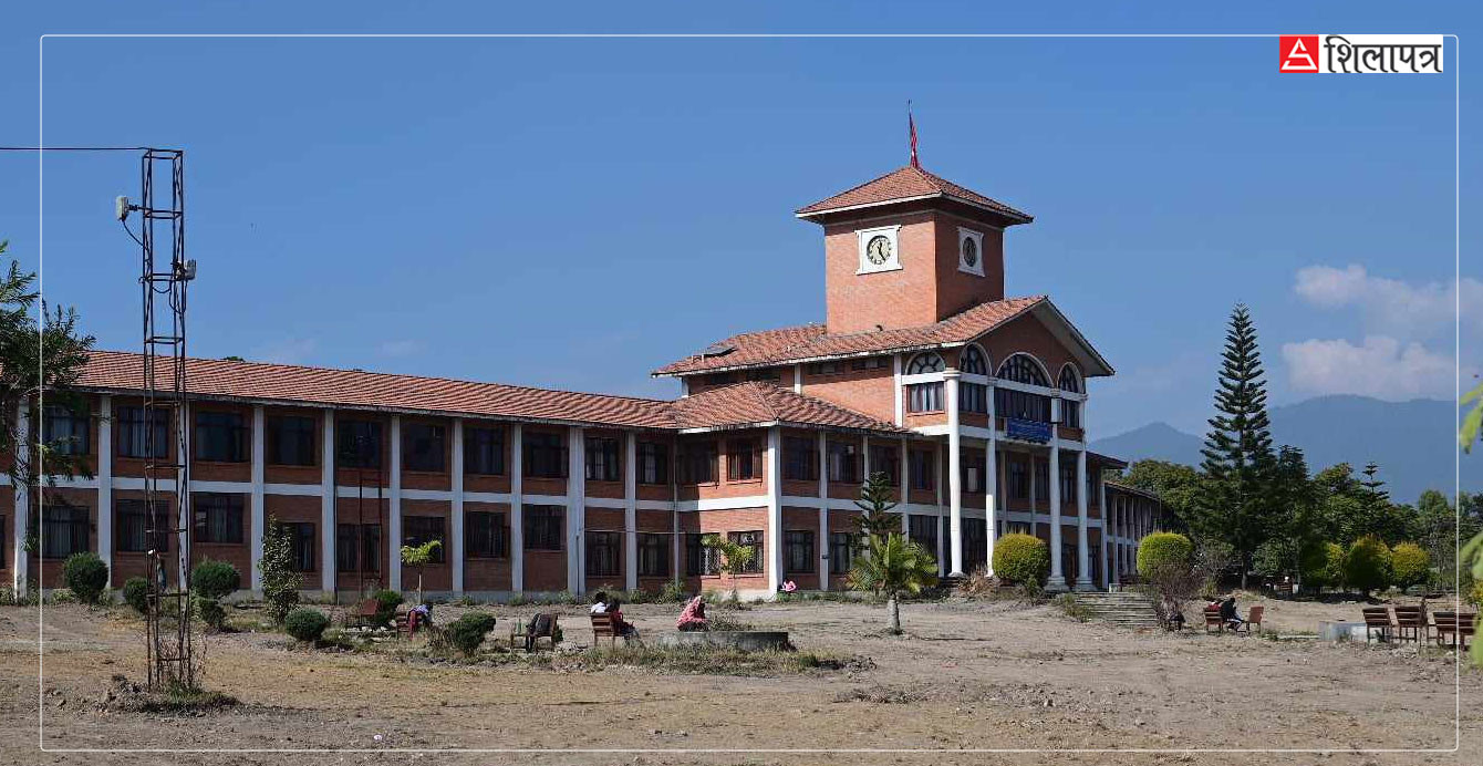 त्रिविको भीसी कस्ताे ? बेथितिको डङ्‌गुर साेहोर्न हिम्मत जुटाउनेजस्ताे