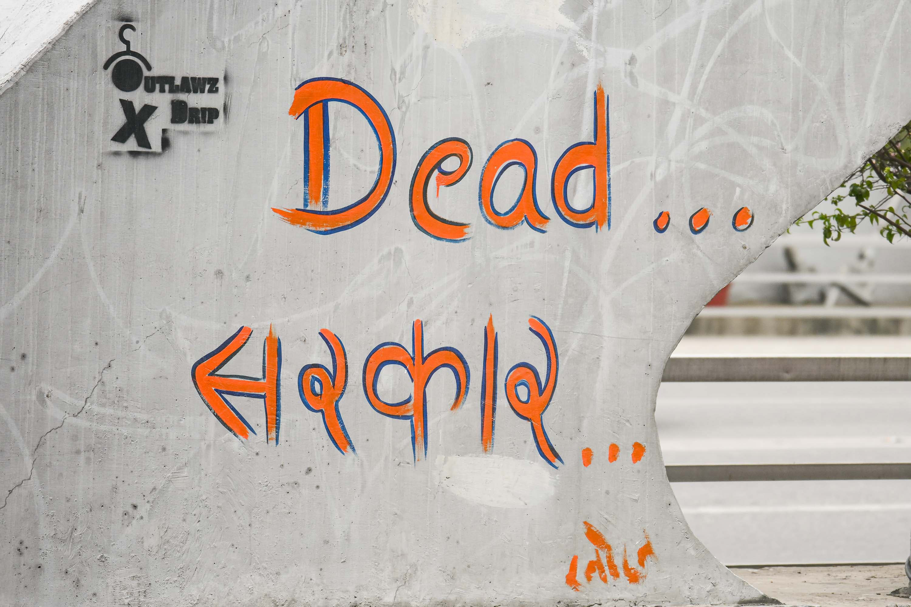 Wall-paint_Nepal-Photo-library_SAFAL20-1762657680.jpg