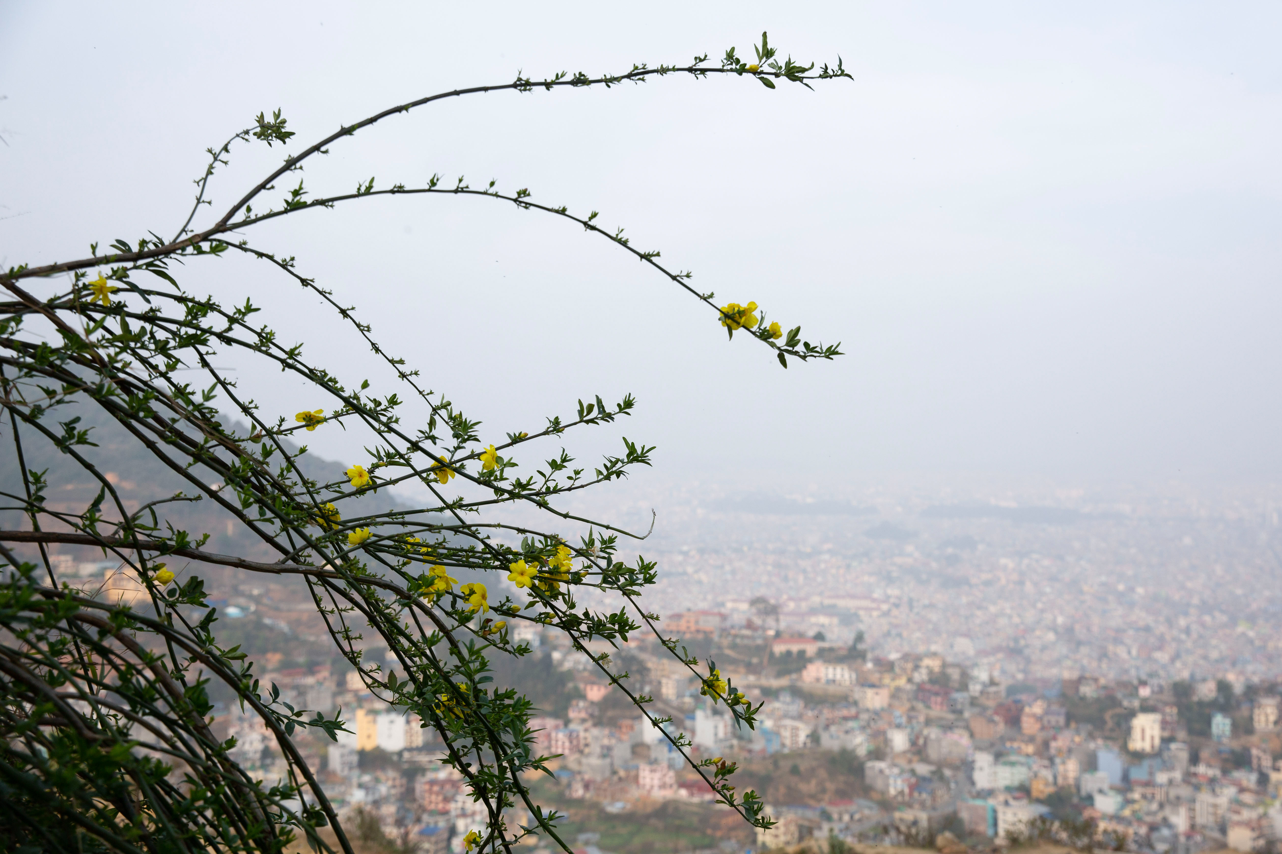 Weather---KTM-valley---798-1773652881.jpg