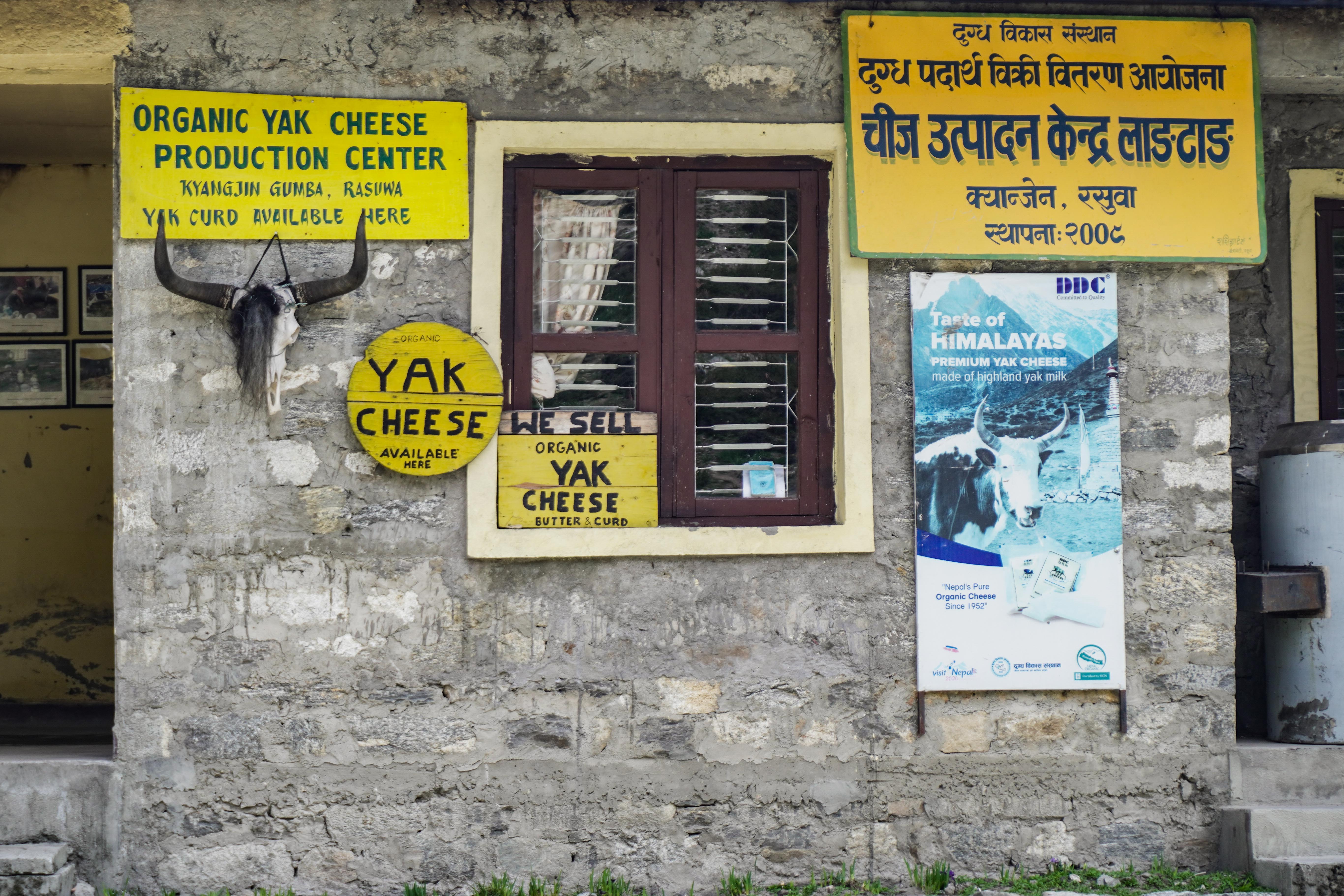 Yak-Cheese-Langtang_-1838-1781324575.jpg