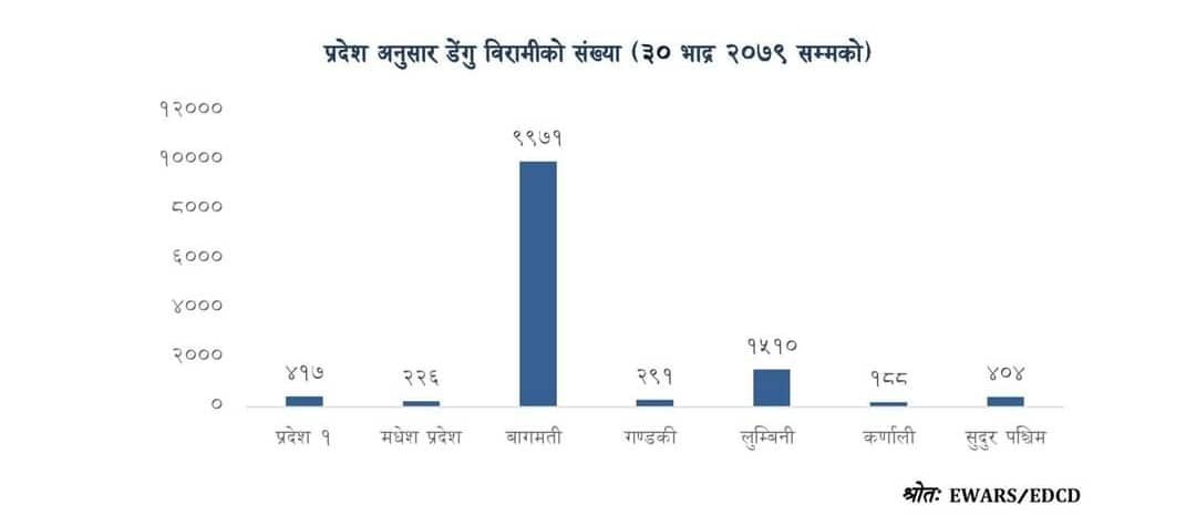 डेंगीबाट १३ जनाको मृत्यु, बिरामीको संख्या १३ हजार नाघ्यो