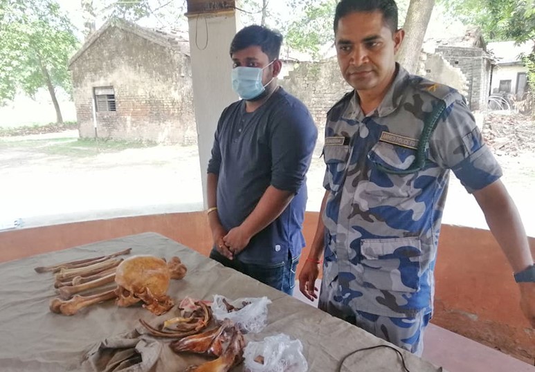 छुटे मानव हड्डी बोकेको आरोपमा पक्राउ परेका विद्यार्थी, मानव हड्डीको विषयमा छैन कानुन