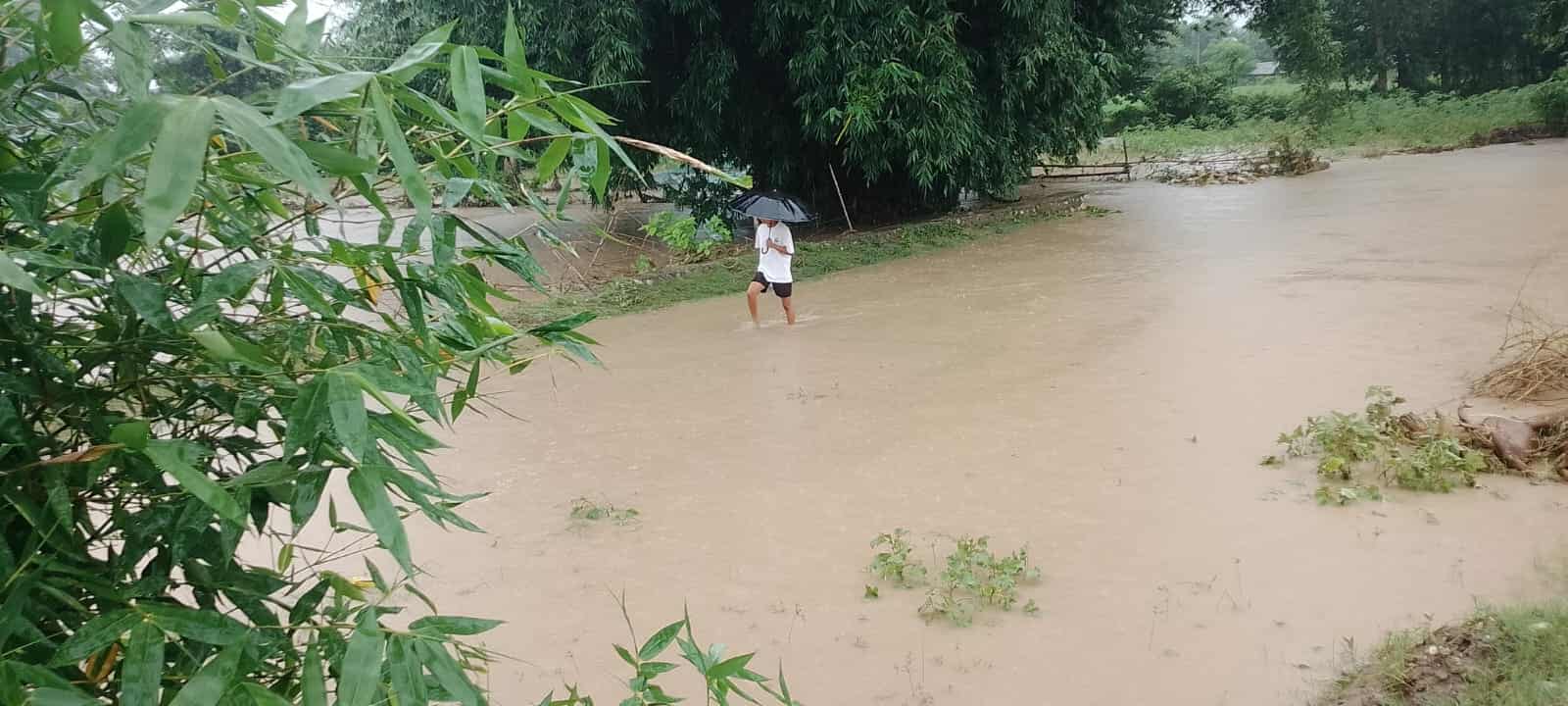 badhi-duban-kanchanpur-1756729130.jpg