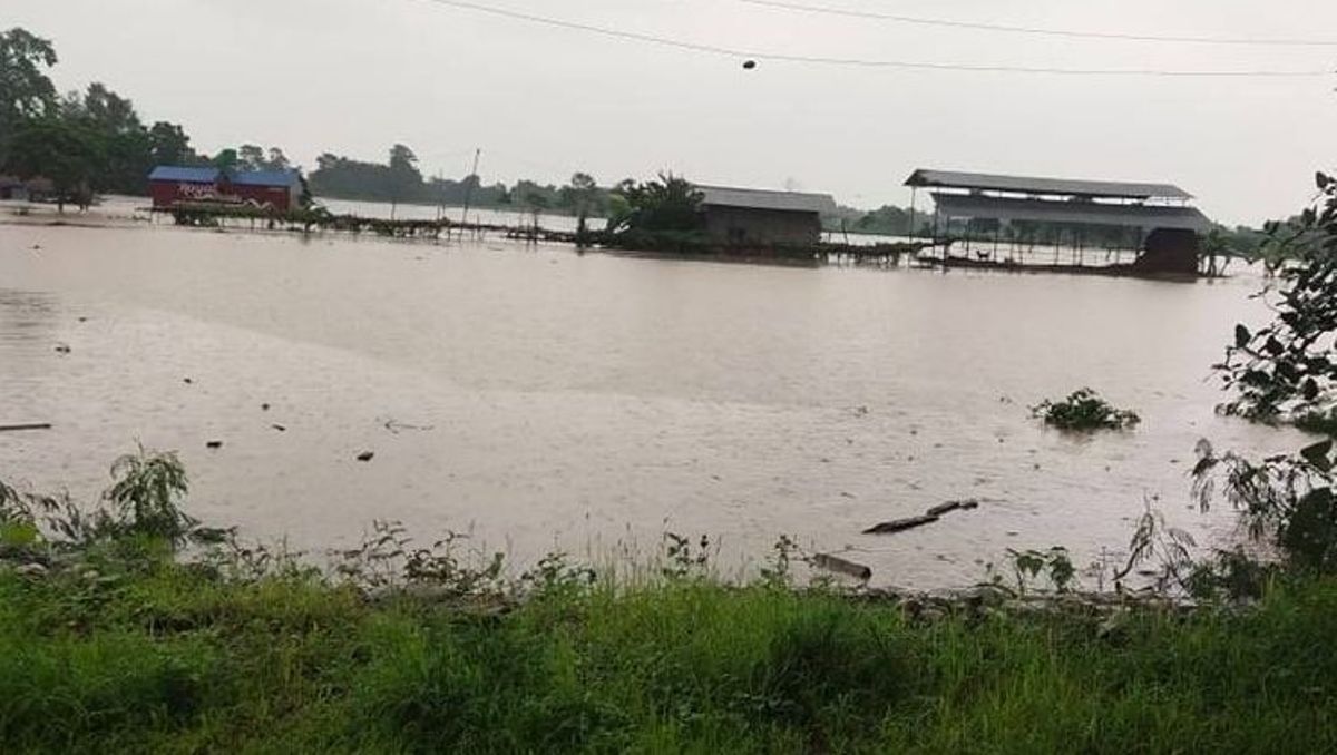 बाढीले चितवनको रत्ननगर नगरपालिकास्थित सुकुम्बासी बस्ती डुबानमा, लदरी खोलाको पुल भत्कियो