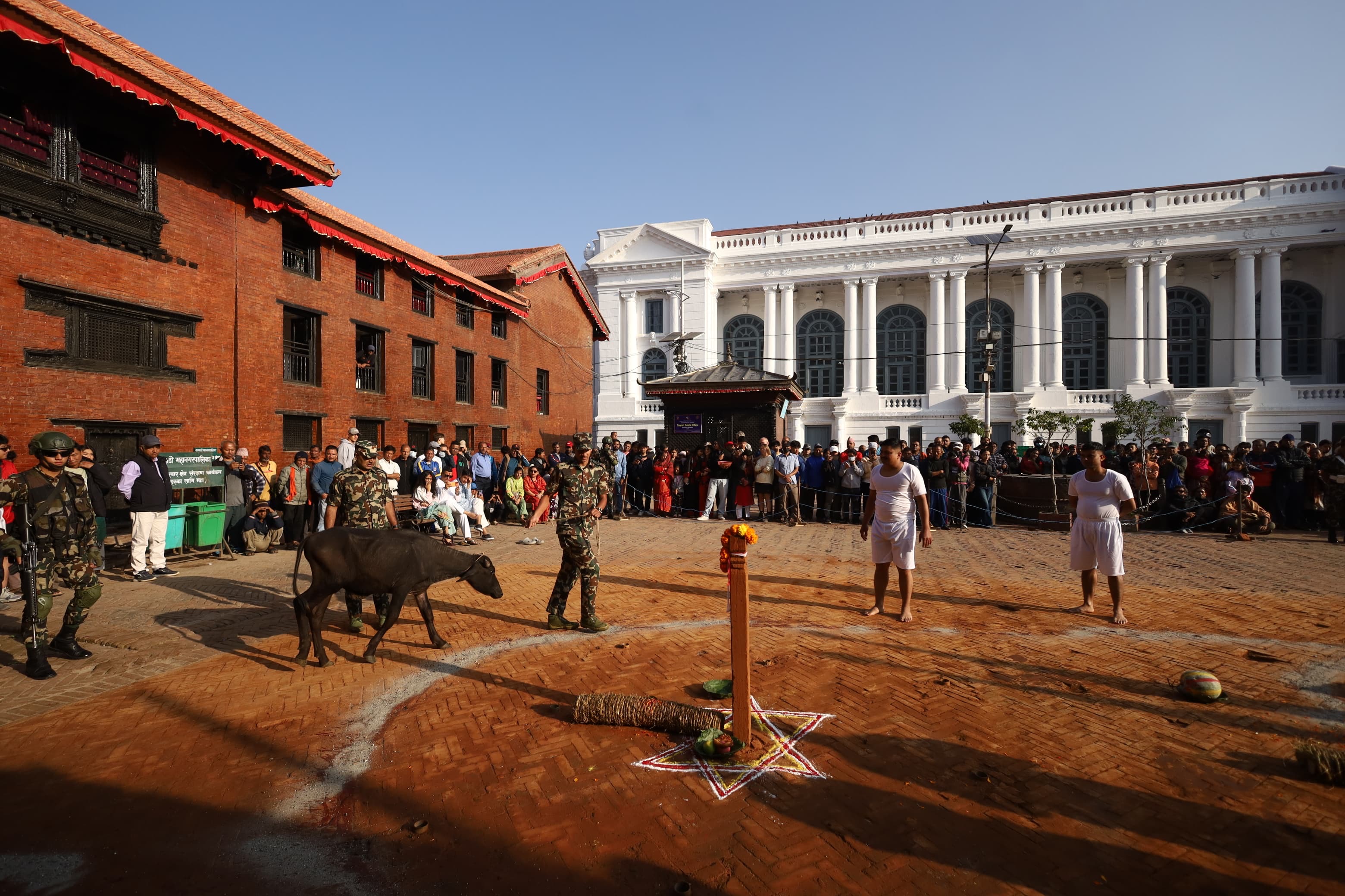 bali&ndash;-dasain-basantapur-(13)-1792465310.jpeg