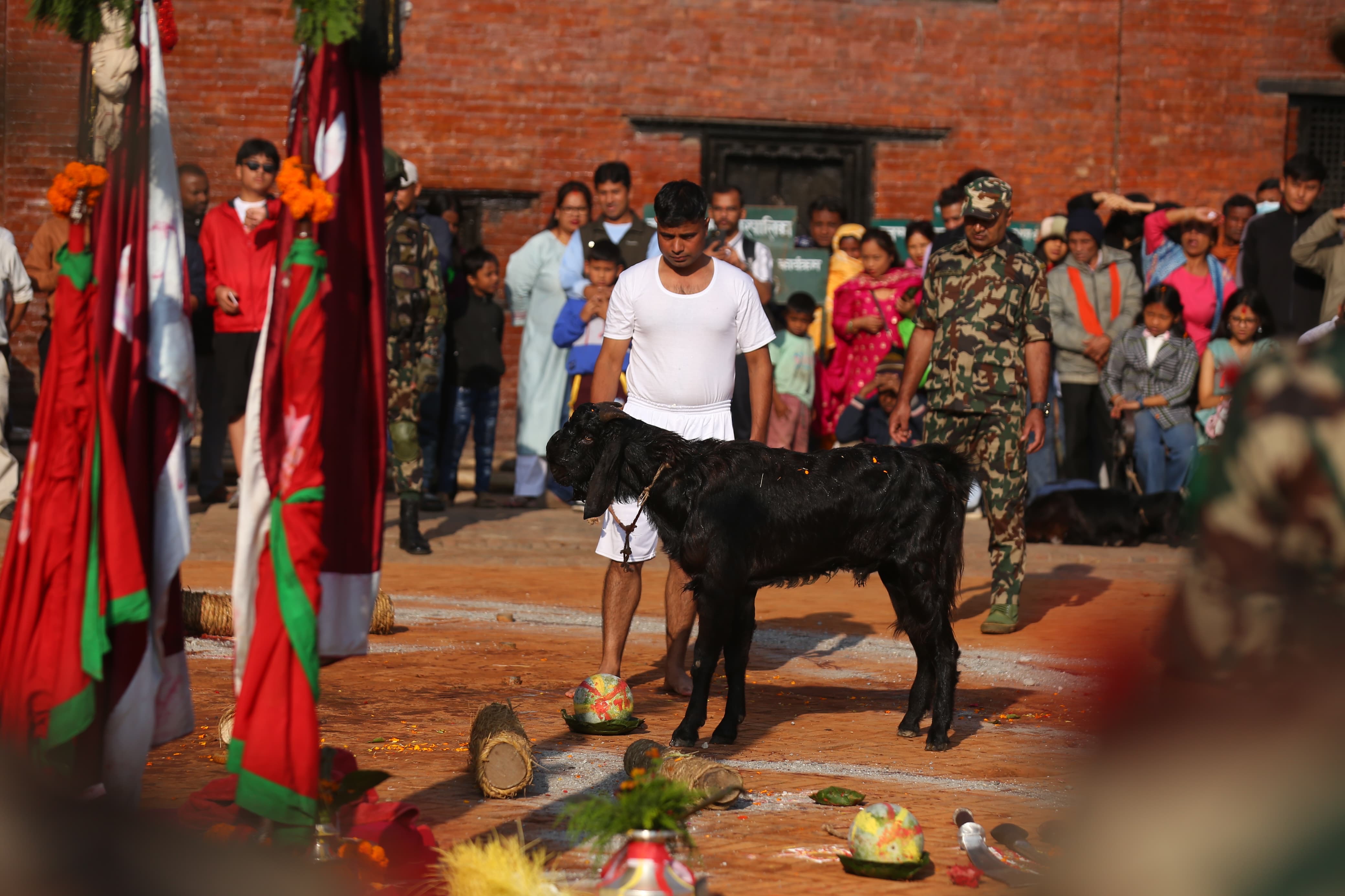 bali&ndash;-dasain-basantapur-(15)-1792465312.jpeg