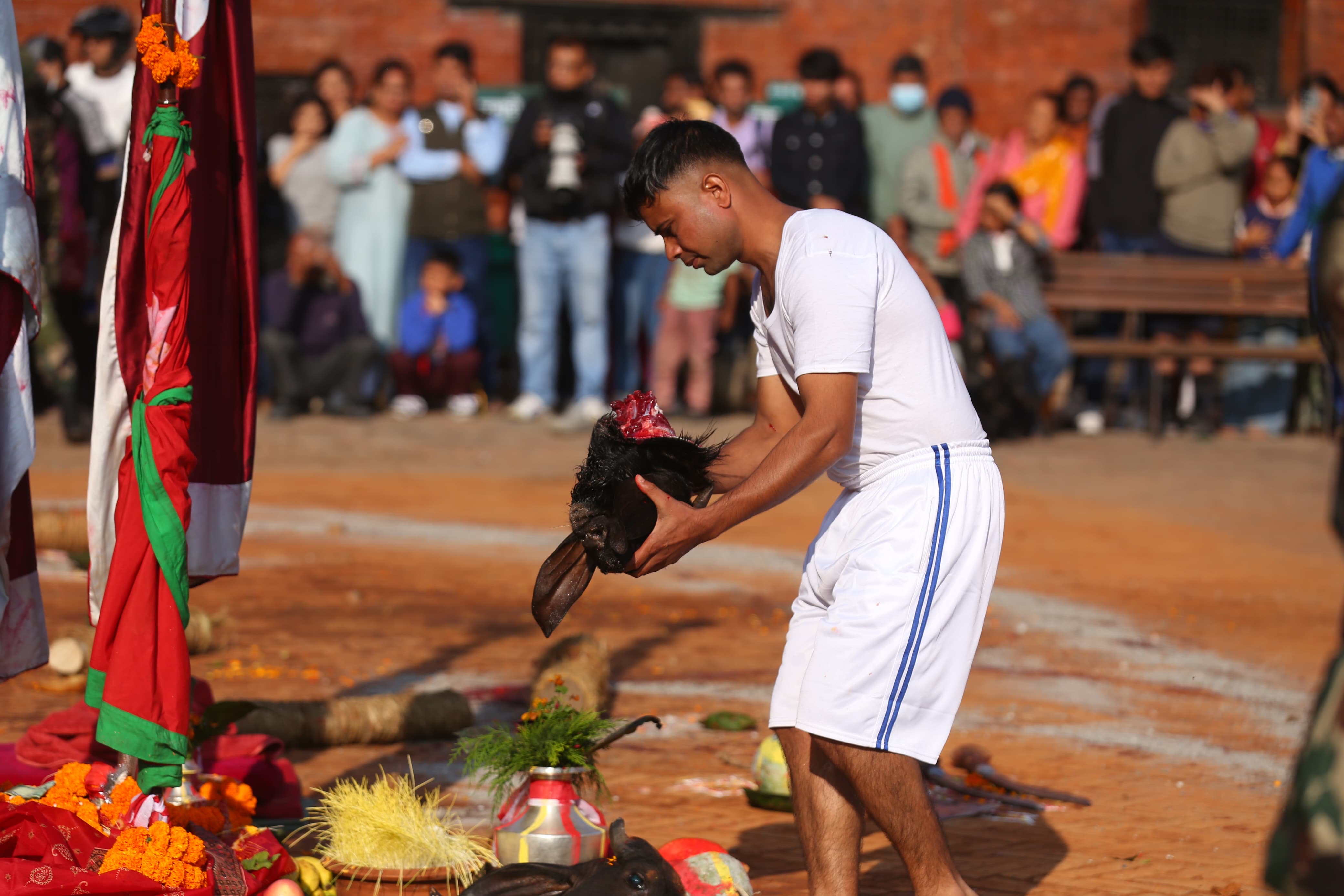 bali&ndash;-dasain-basantapur-(5)-1792465302.jpeg