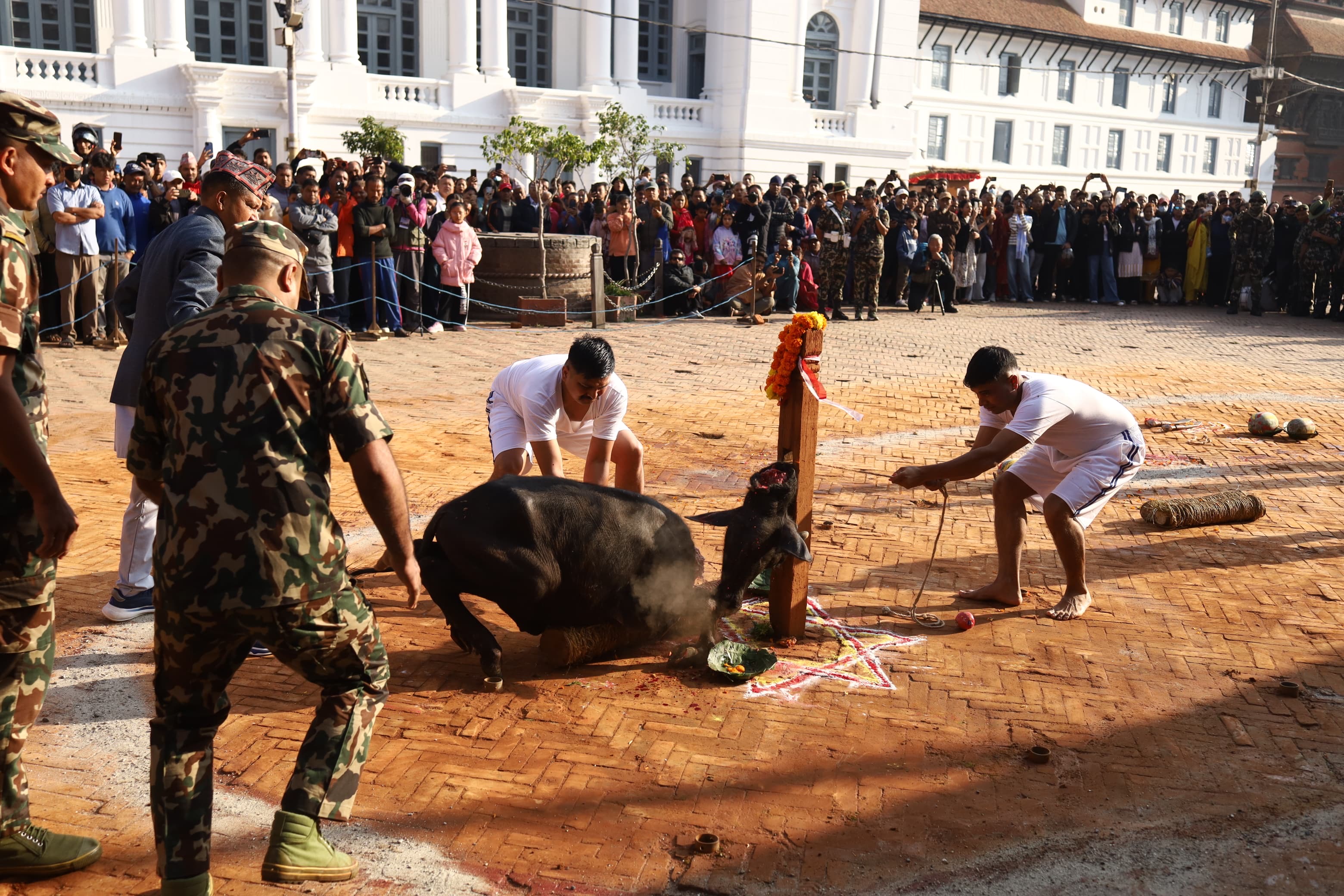 bali&ndash;-dasain-basantapur-(9)-1792465306.jpeg