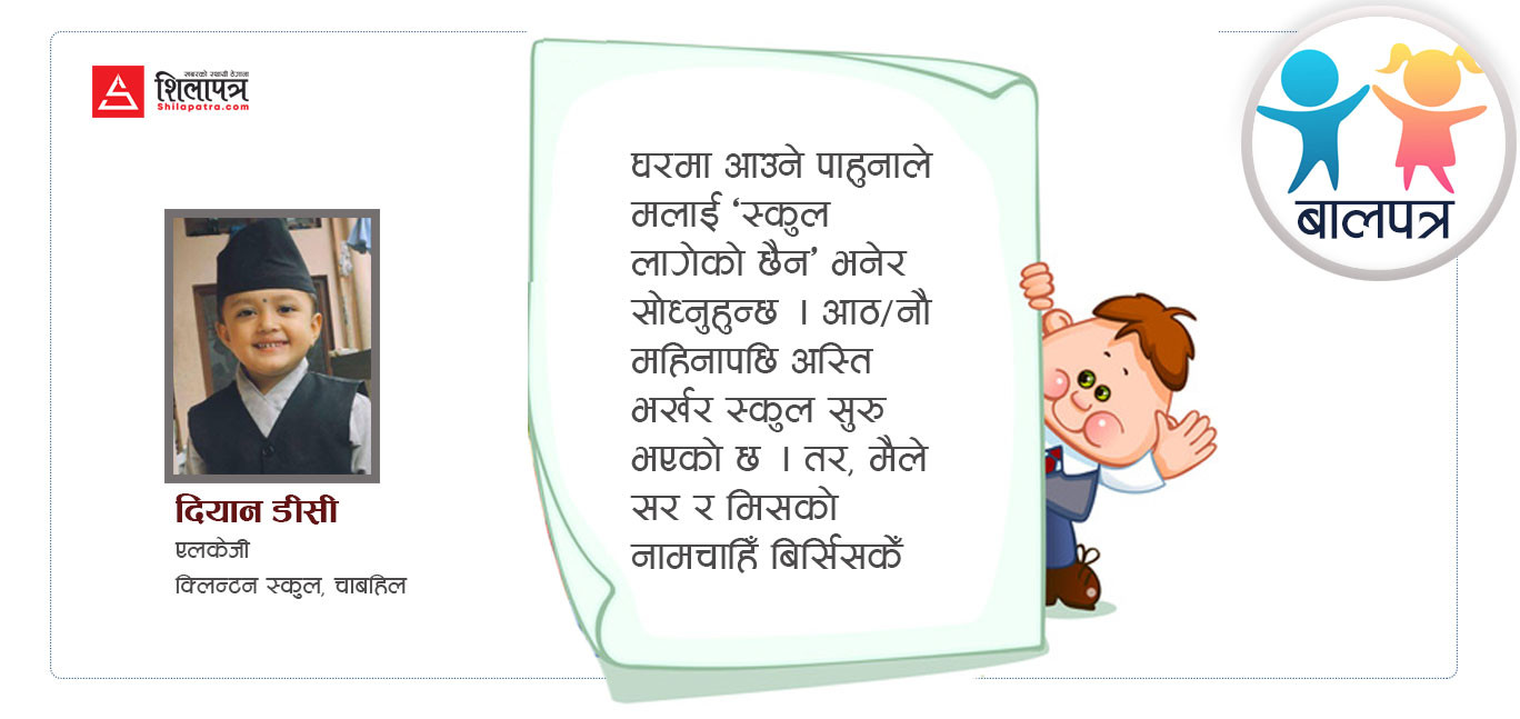मामुबाबाले भोट कस्ताे मान्छेलाई हाल्नुहुन्छ ?