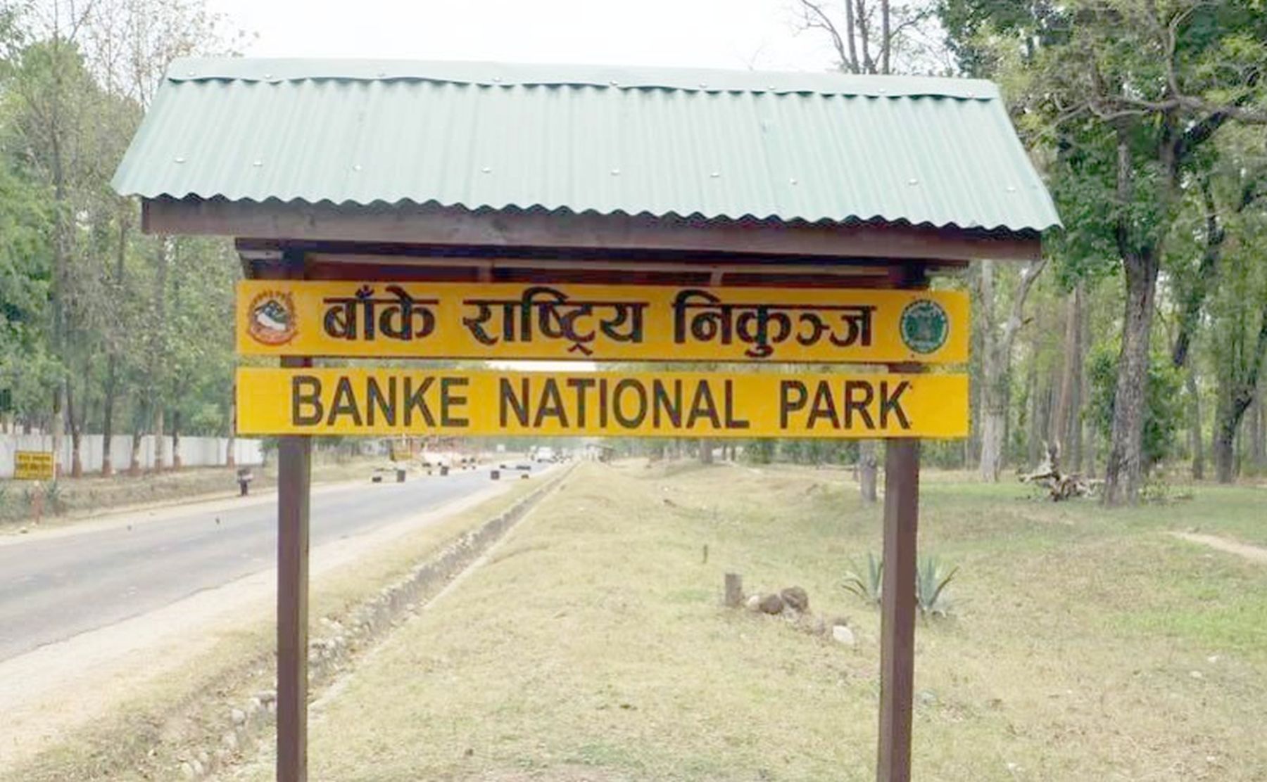 banke-national-p-1792153102.jpg