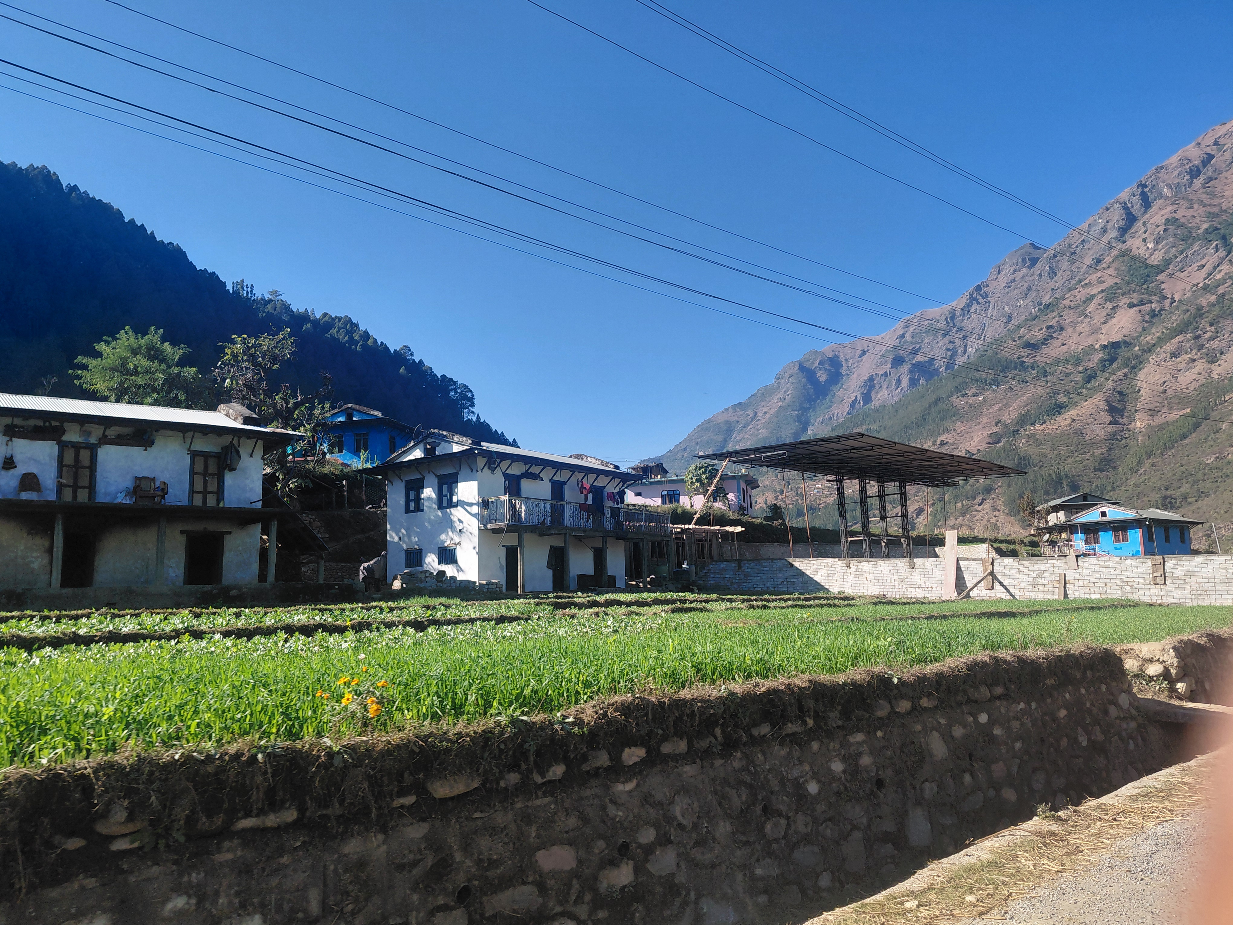 basaie-saraie-story-(26)-1781662649.jpg