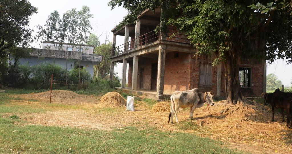 मर्जपछि विद्यालयका भवन : कतै बसोबास, कतै पशुपालन