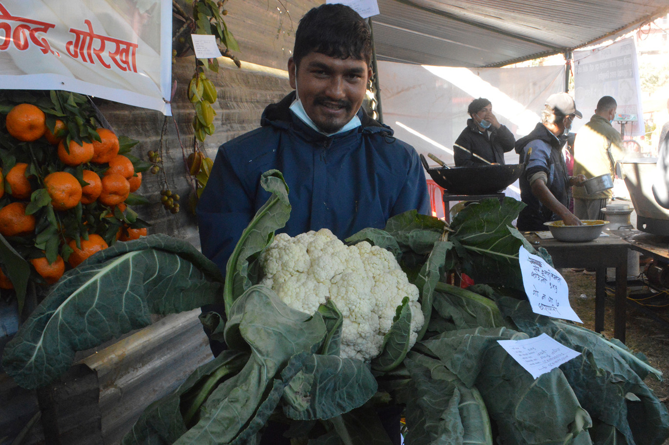 गोरखामा किसानको बारीमा फल्यो ९ किलोको एउटै काउली