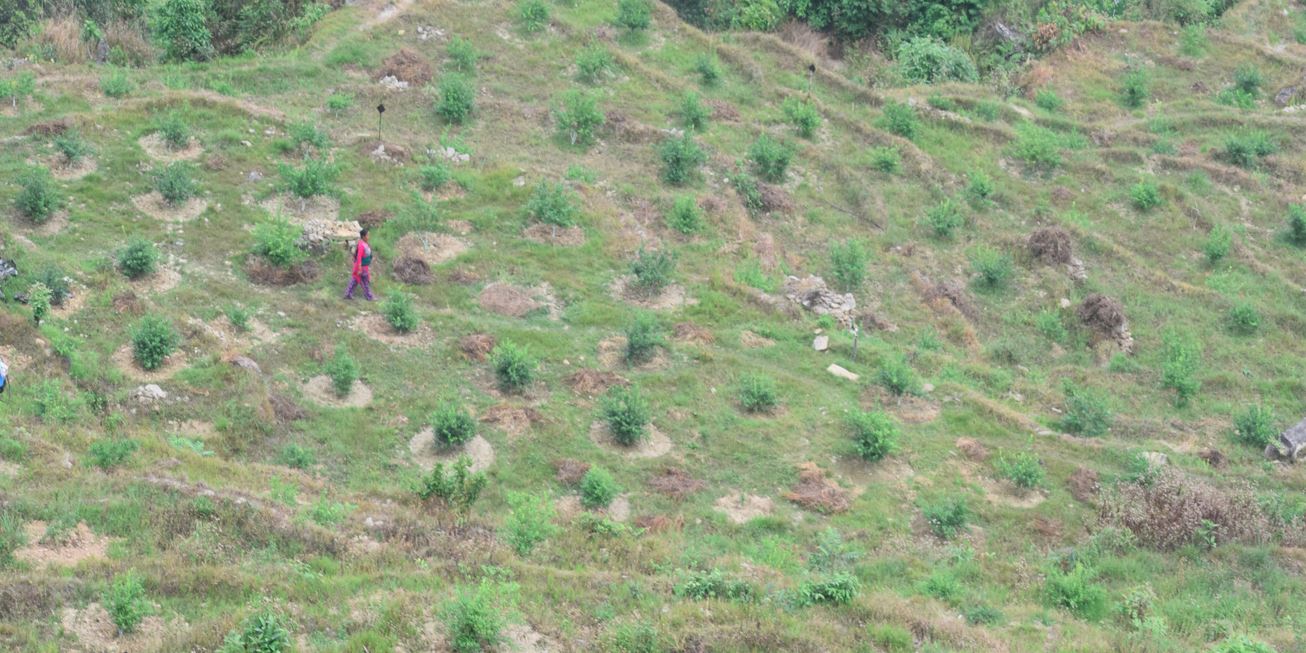 चक्लाबन्दीले बढायो जग्गाको उपयोगिता, यान्त्रिकरणमा सहज