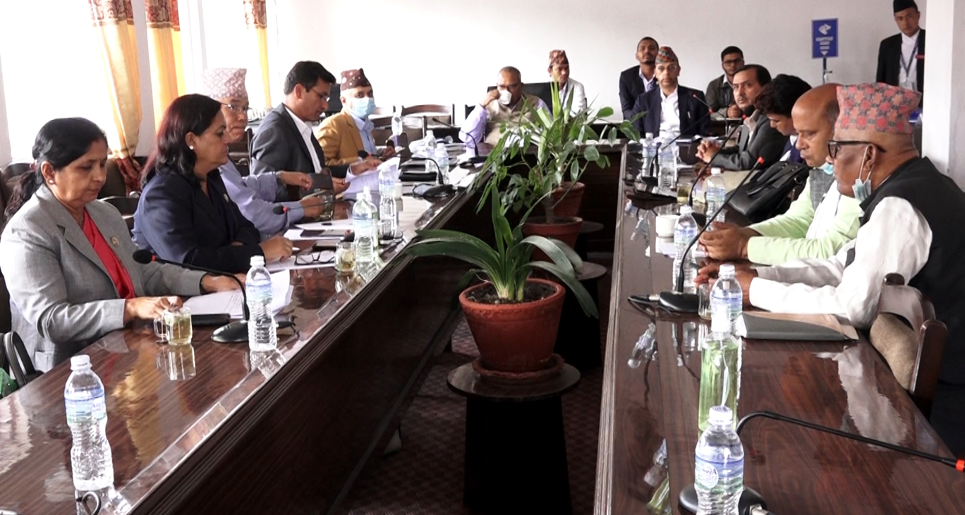 छानबिन समितिले जनार्दन शर्मासँग सम्बन्धित विवरण अर्थ मन्त्रालयसँग माग्ने