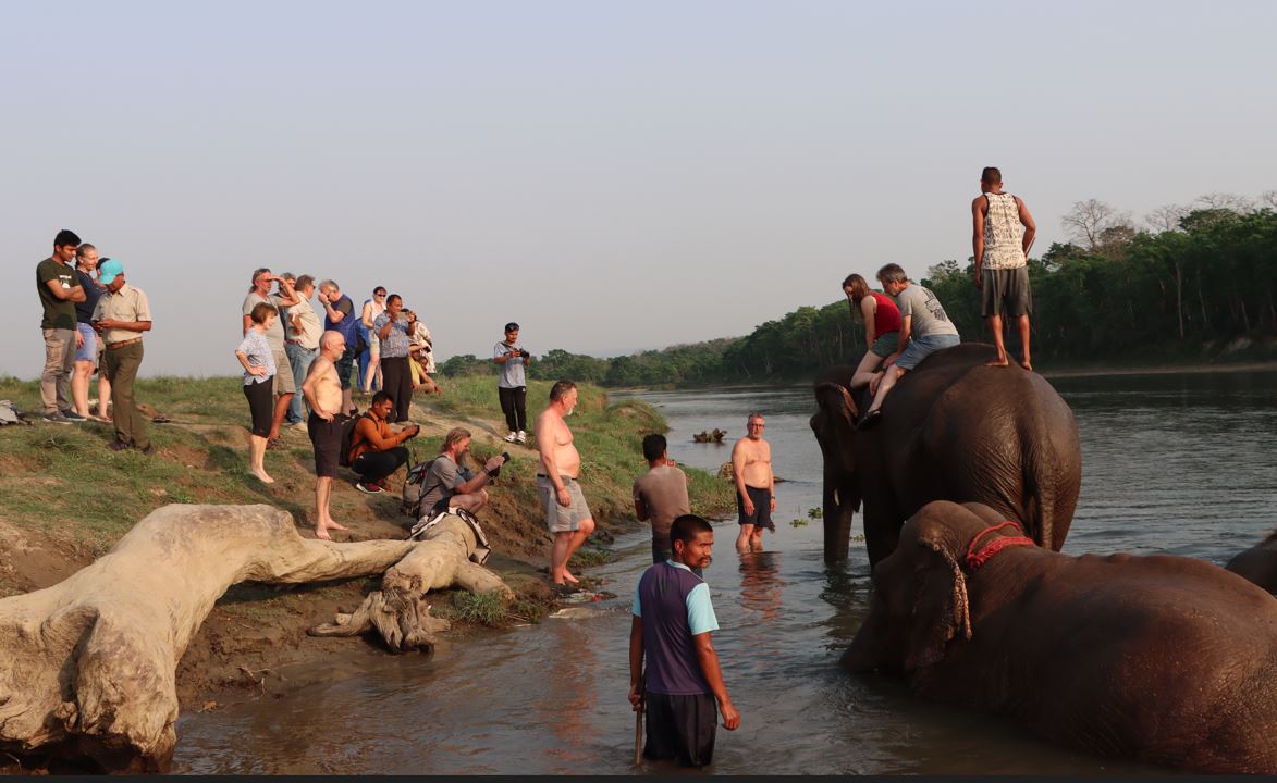 पर्यटकको रोजाइ बन्दै पटिहानी